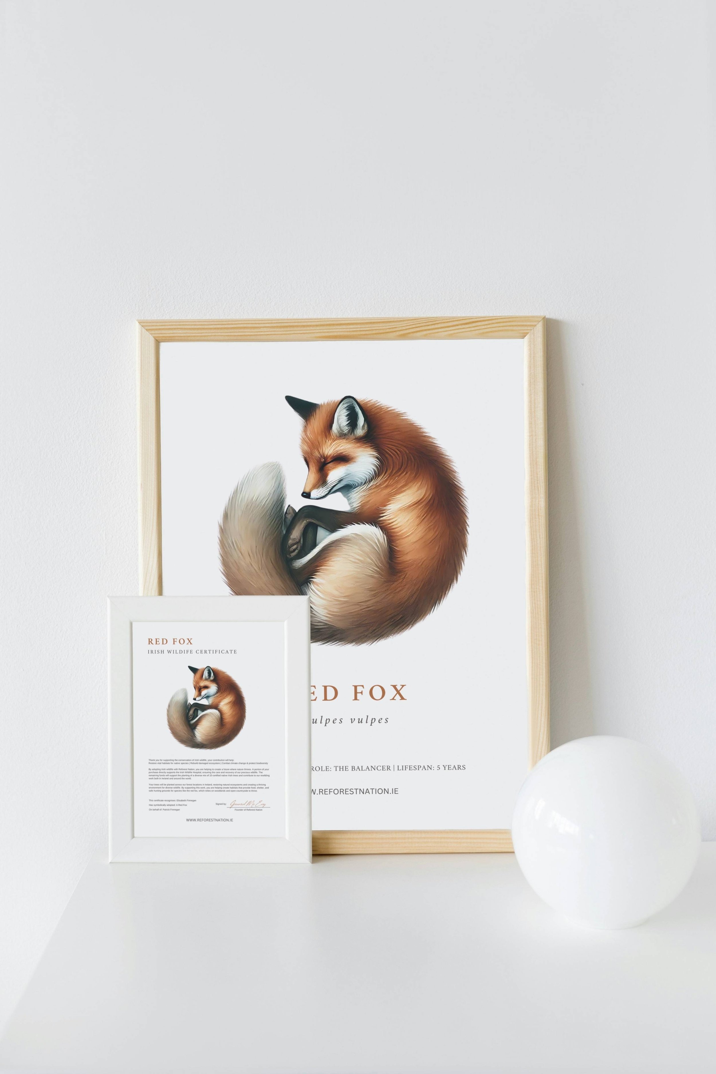 wildlife-gift.jpg