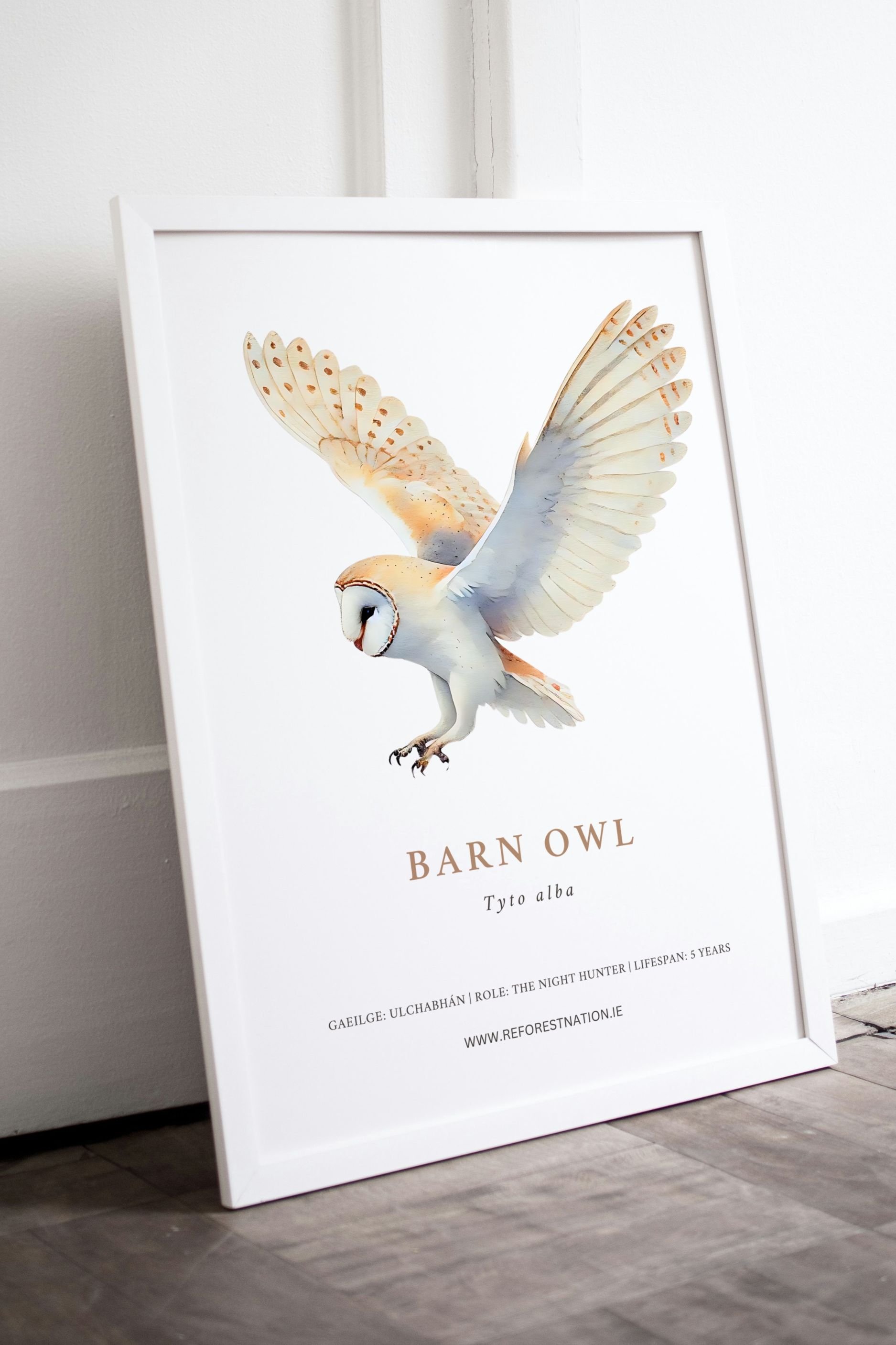 barn-owl-artwork.jpg