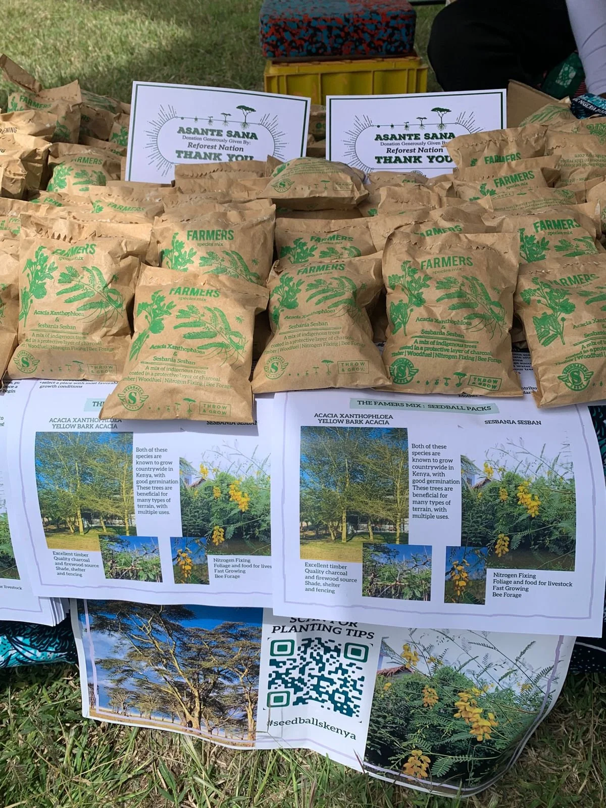 Brown paper seed packets labeled 'Farmers mix seedball packs' arranged on a table with informational pamphlets about planting trees in Kenya, featuring images of trees and plant species.
