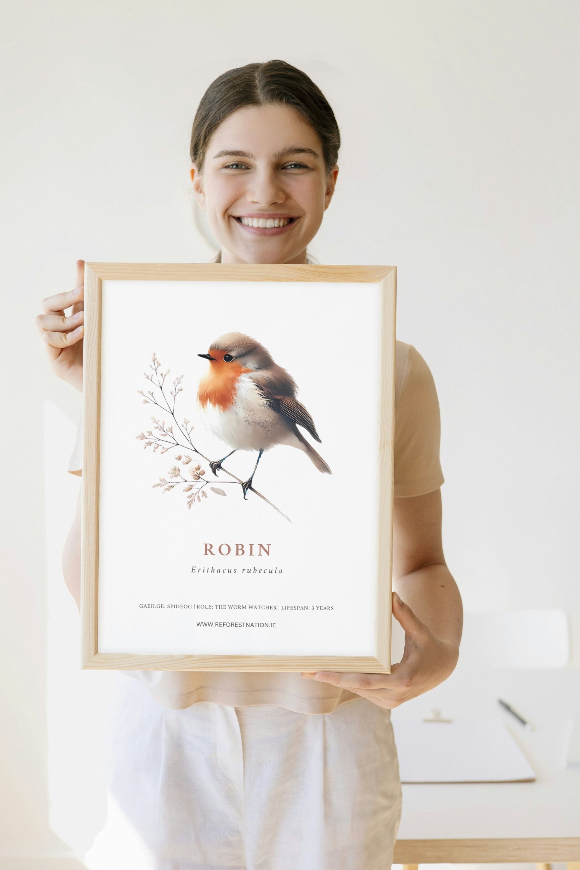 robin-artwork-2.jpg