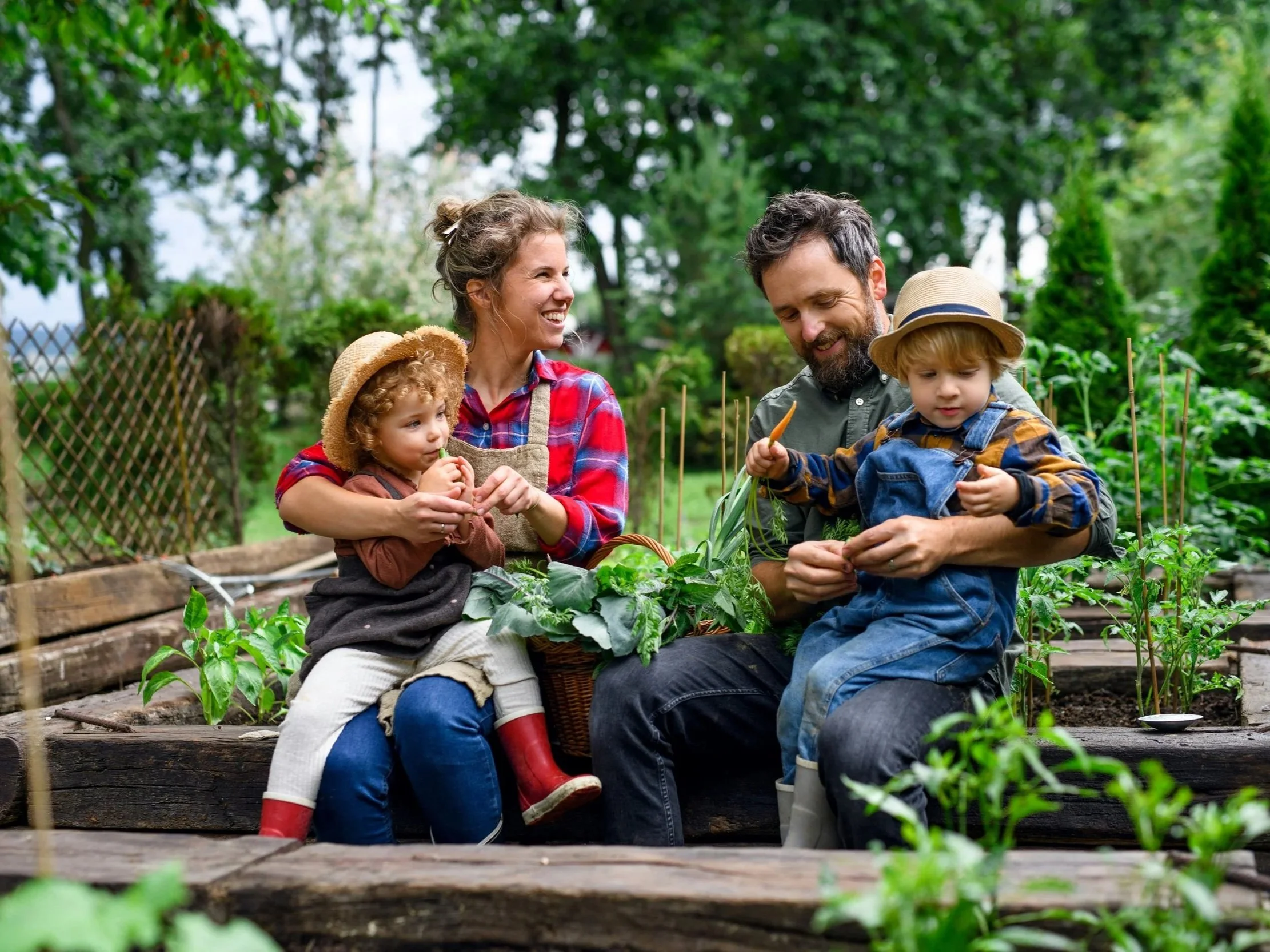 Parents and young children harvesting vegetables together in a home garden, showing how rewilding at home can reconnect Irish families with nature.