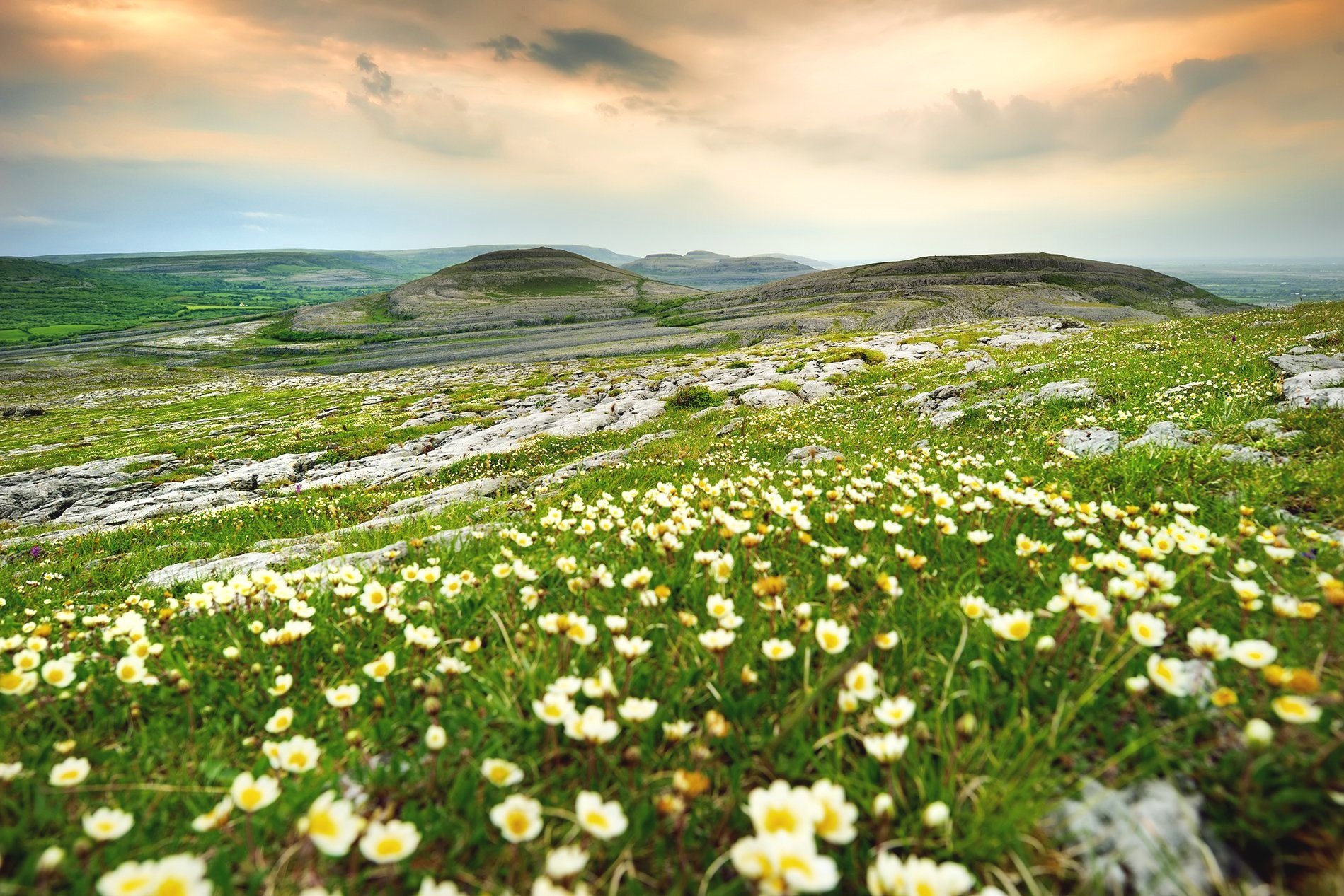 Scenic landscape with rolling hills, wildflowers, and a colorful sunset sky in the Burren, Ireland.
