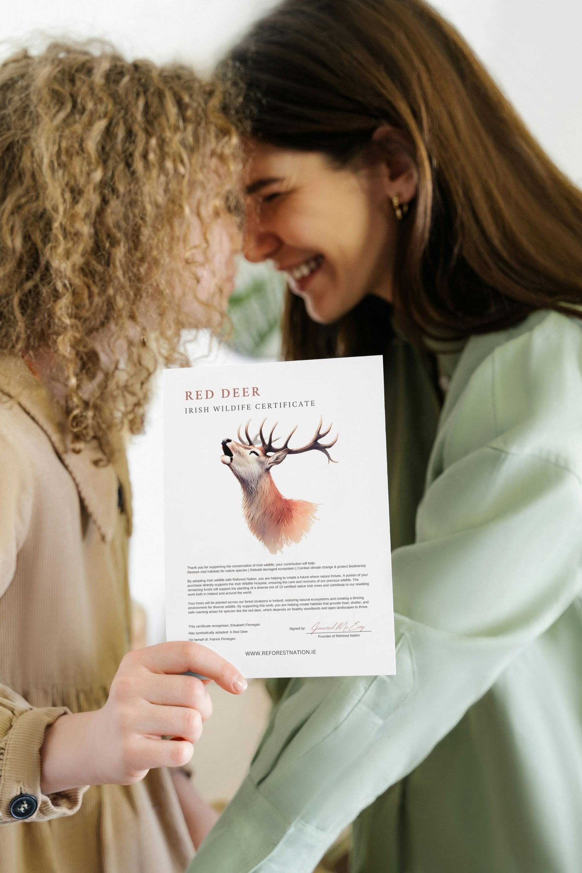 red-deer-certificate-3.jpg