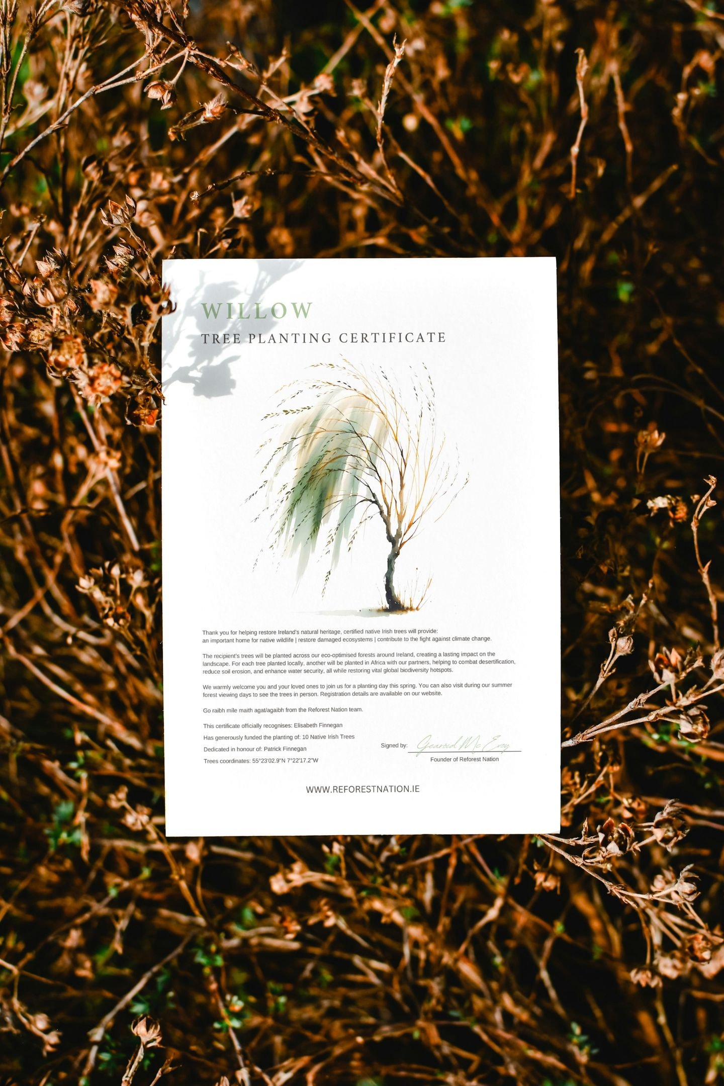 tree-planting-certificate-8.jpg