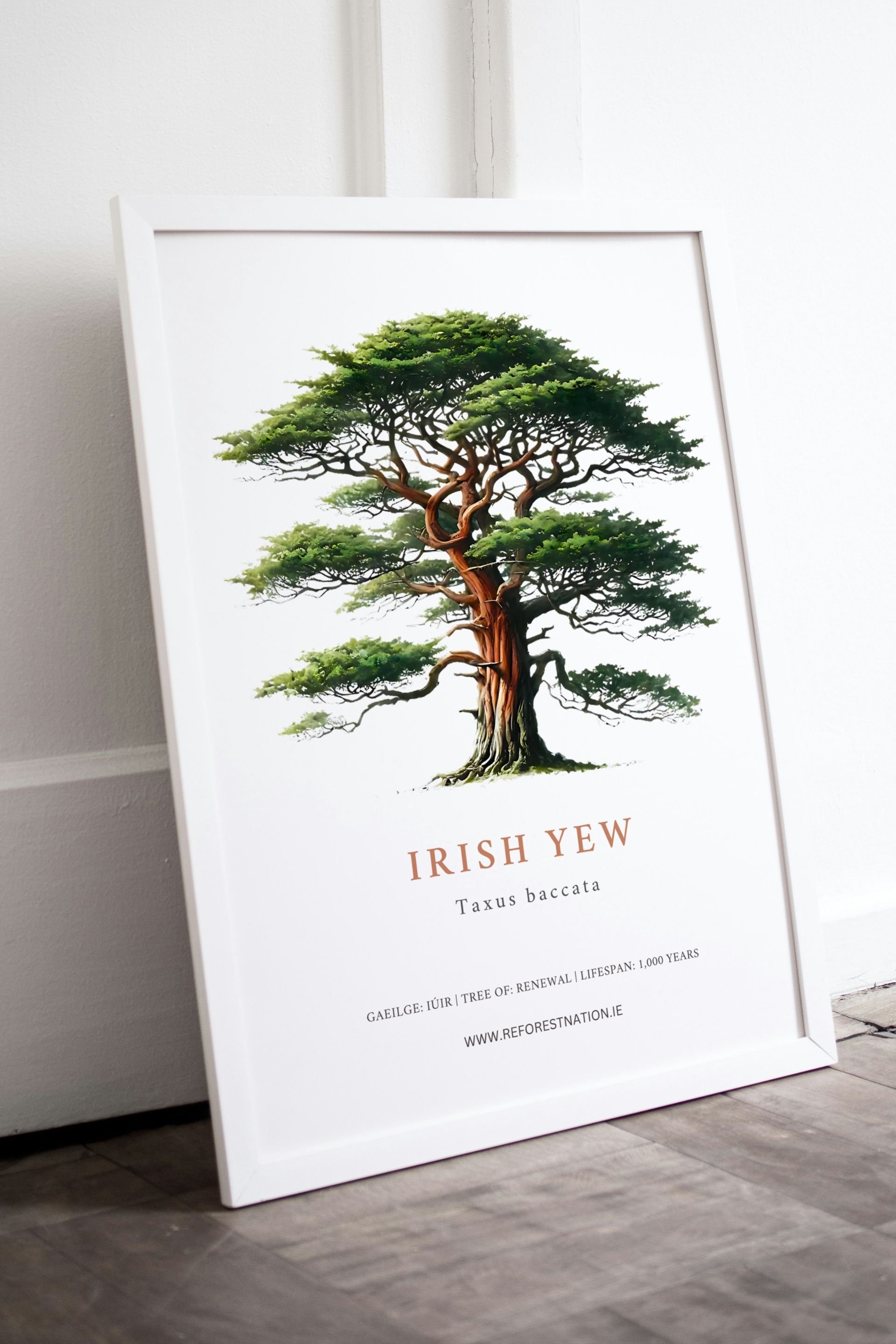 irish-yew-artwork.jpg
