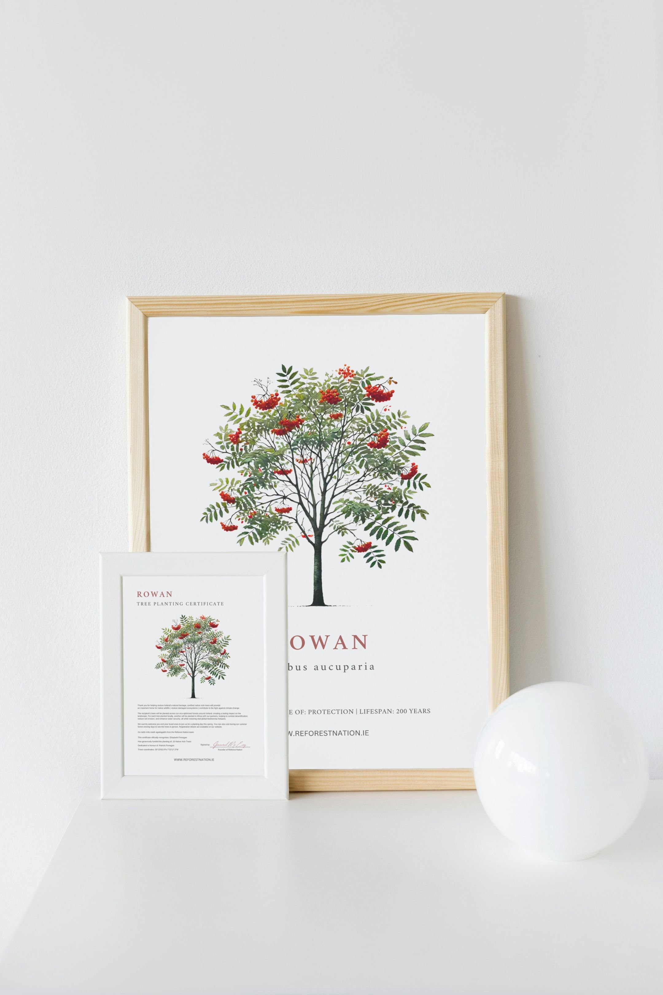 tree-planting-certificate-and-artwork-3.jpg