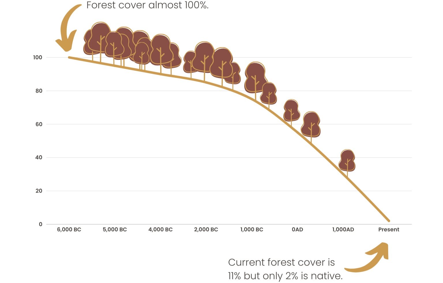 Reforesting Ireland Plant A Tree Ireland One Million Already Planted