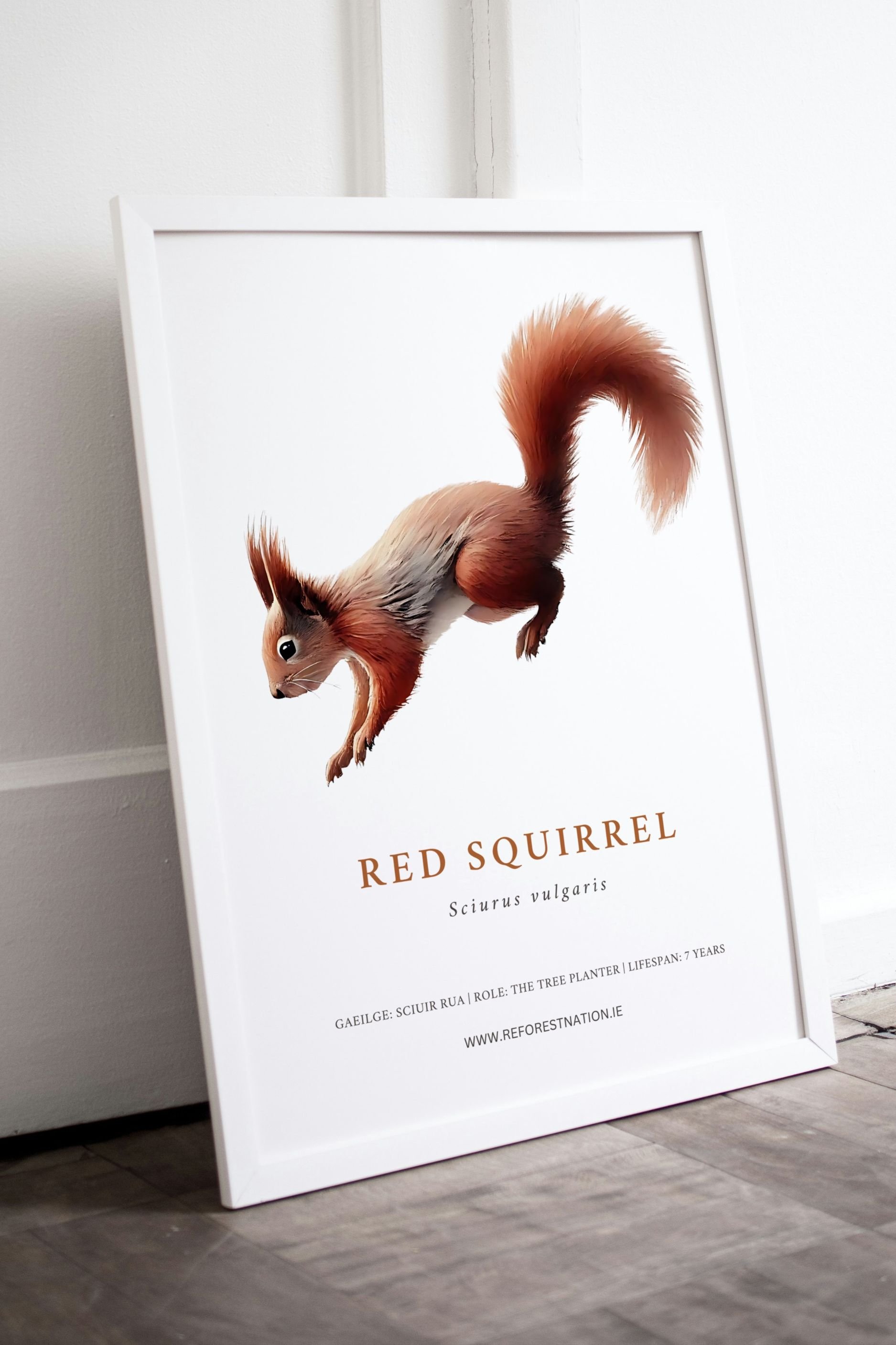 red-squirrel-artwork.jpg