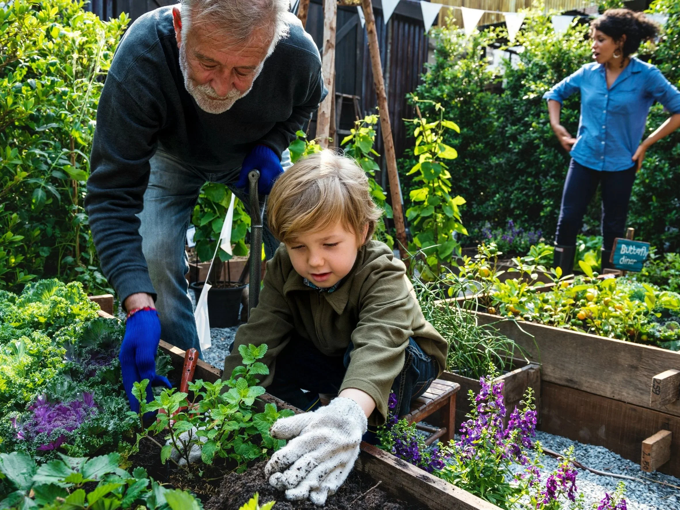 An older adult and child planting plants together in a garden bed, showing how native planting supports rewilding and biodiversity in Irish gardens.