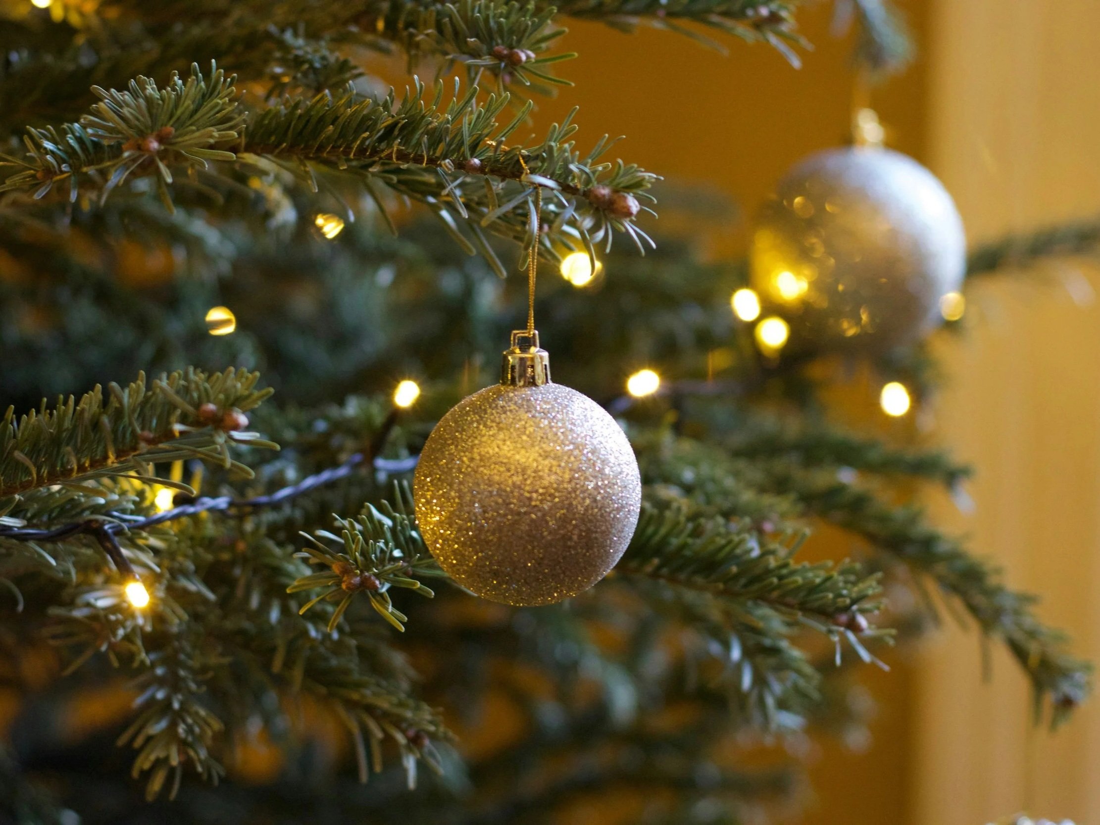 Decorated Christmas tree branch with lights and ornaments, illustrating the environmental cost of Christmas tree traditions and seasonal consumption.