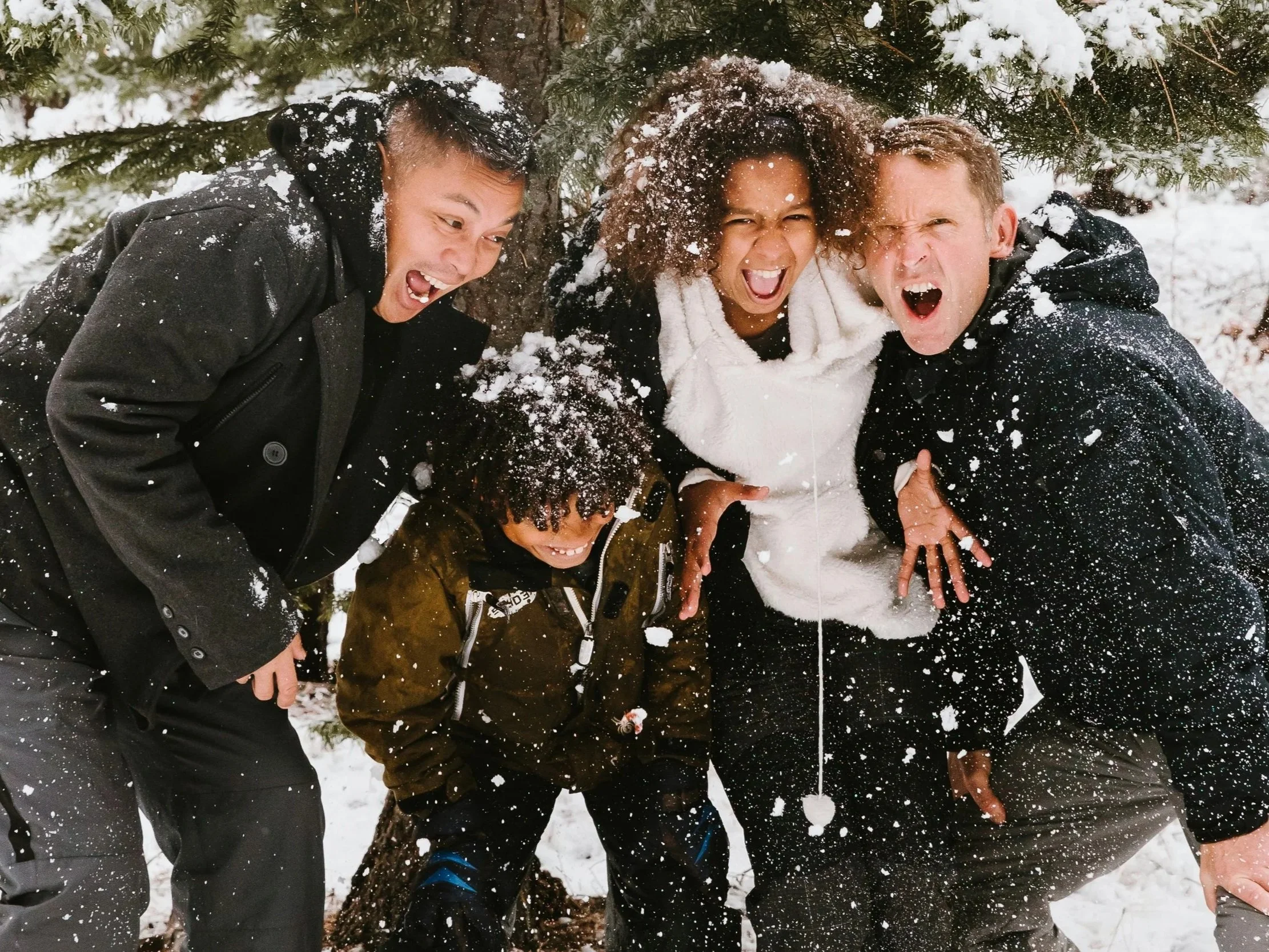 Family playing in the snow near evergreen trees, representing a more sustainable and meaningful Christmas tradition.