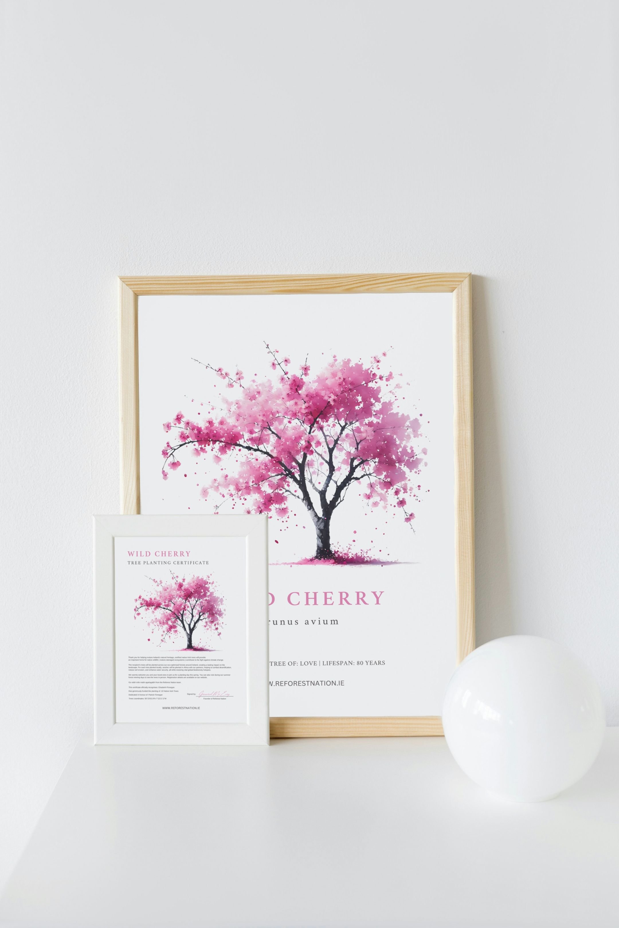 tree-planting-certificate-and-artwork-6.jpg