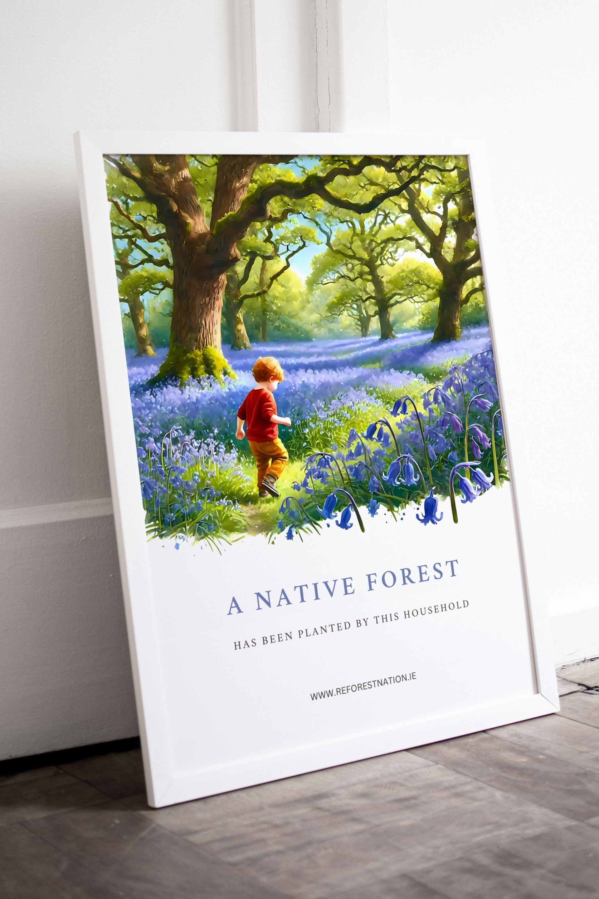native-forest-artwork.jpg