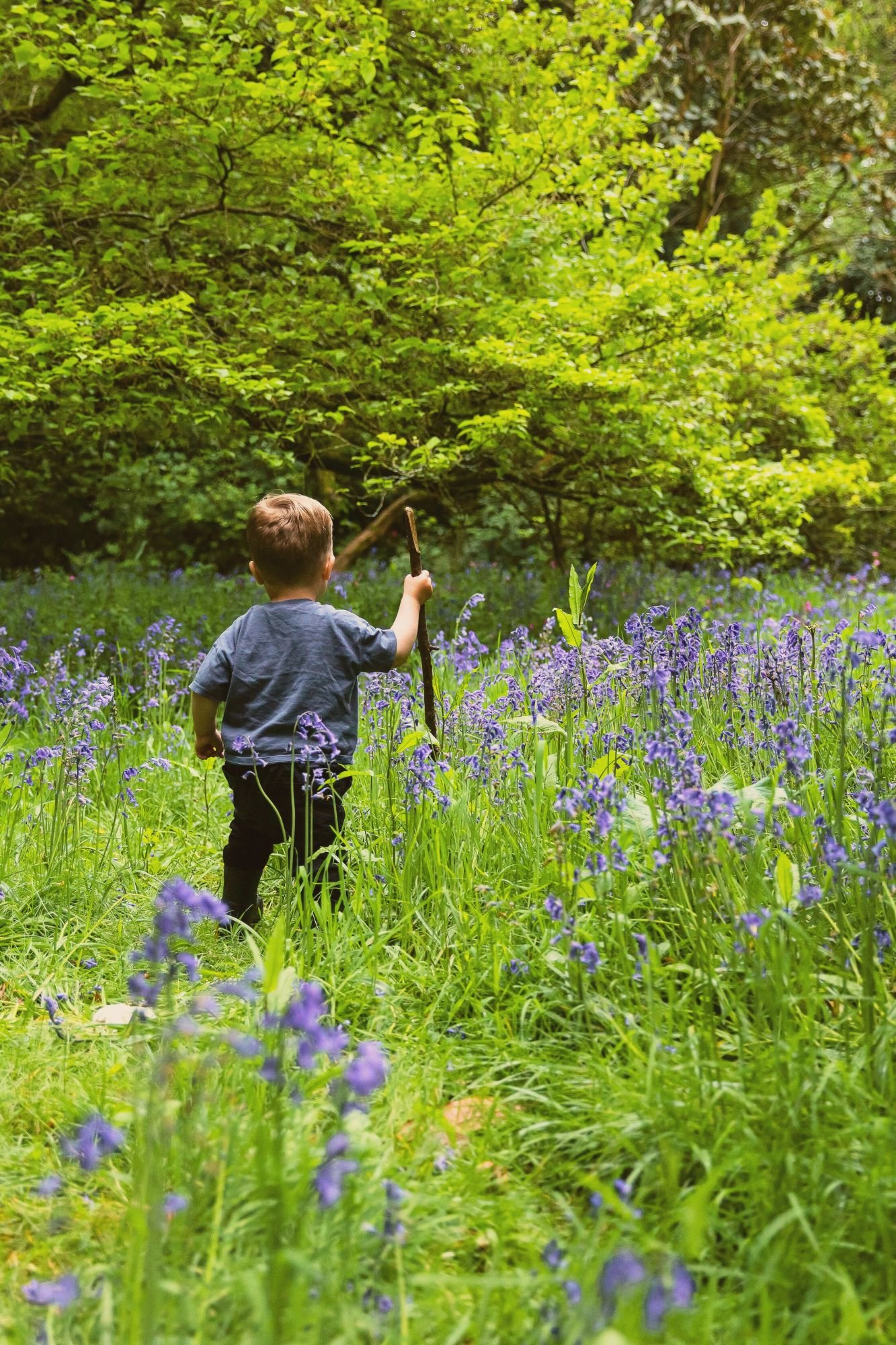 child-in-forest.jpg