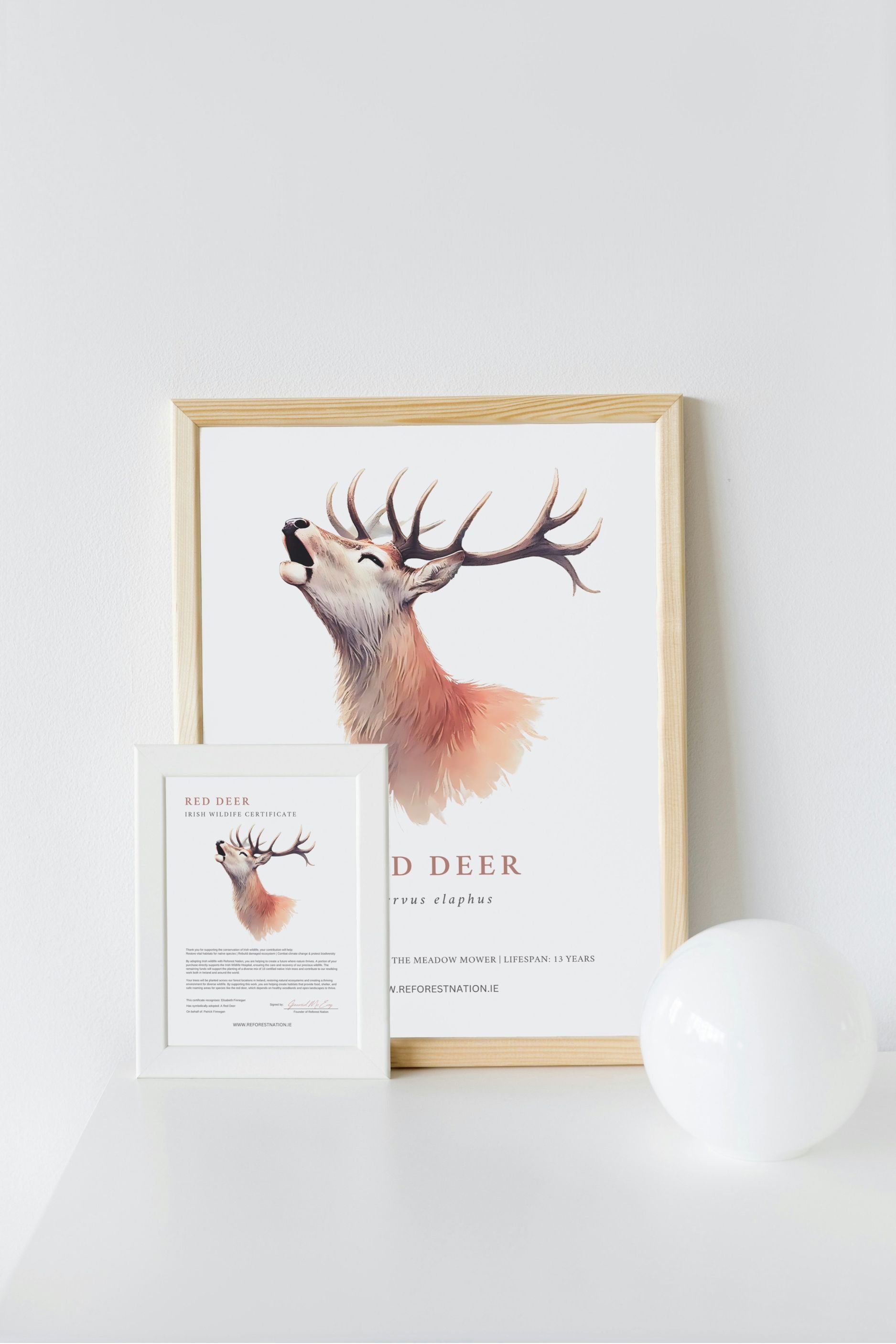 red-deer-artwork-and-certificate.jpg