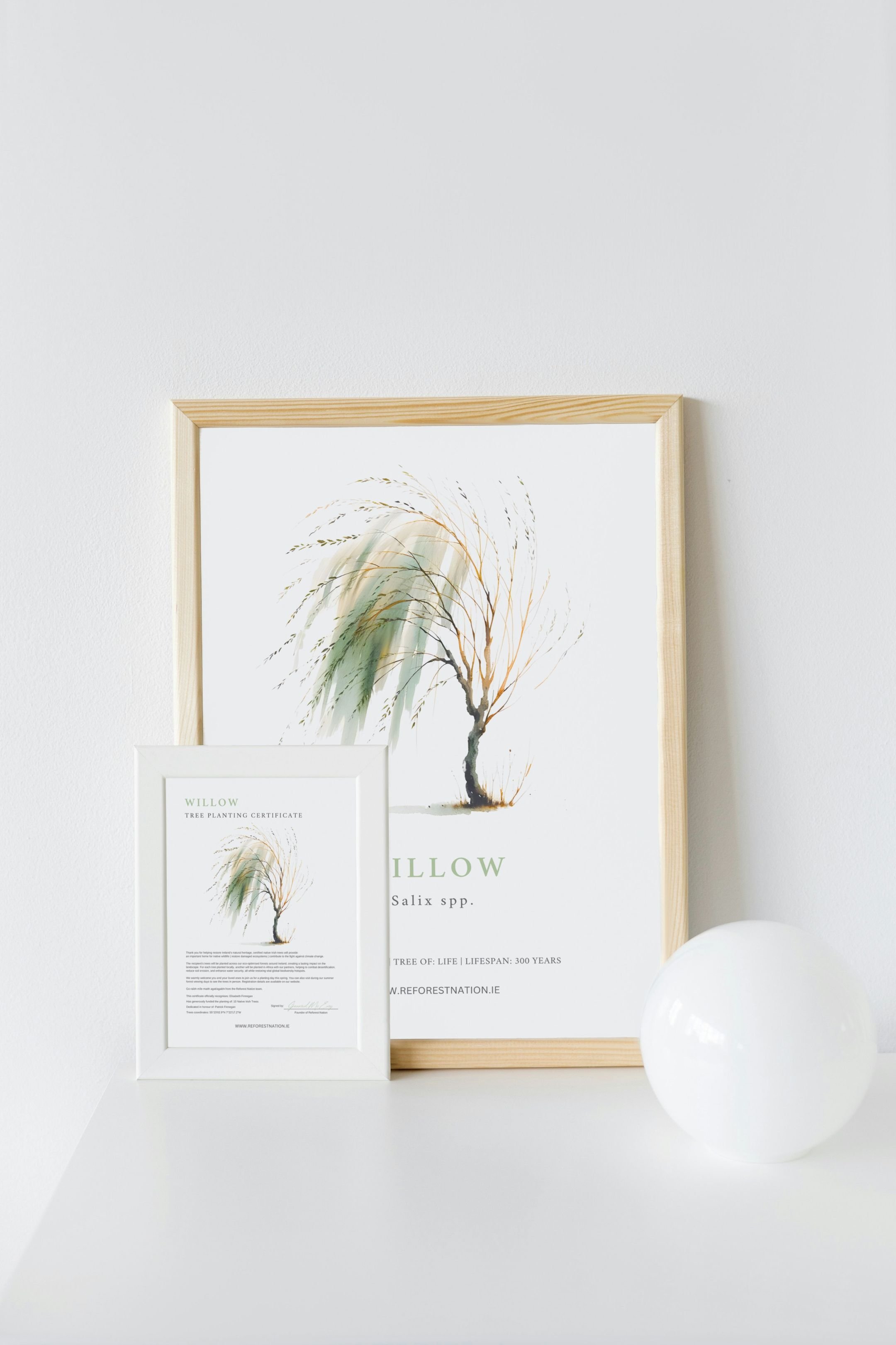 tree-planting-certificate-and-artwork-4.jpg