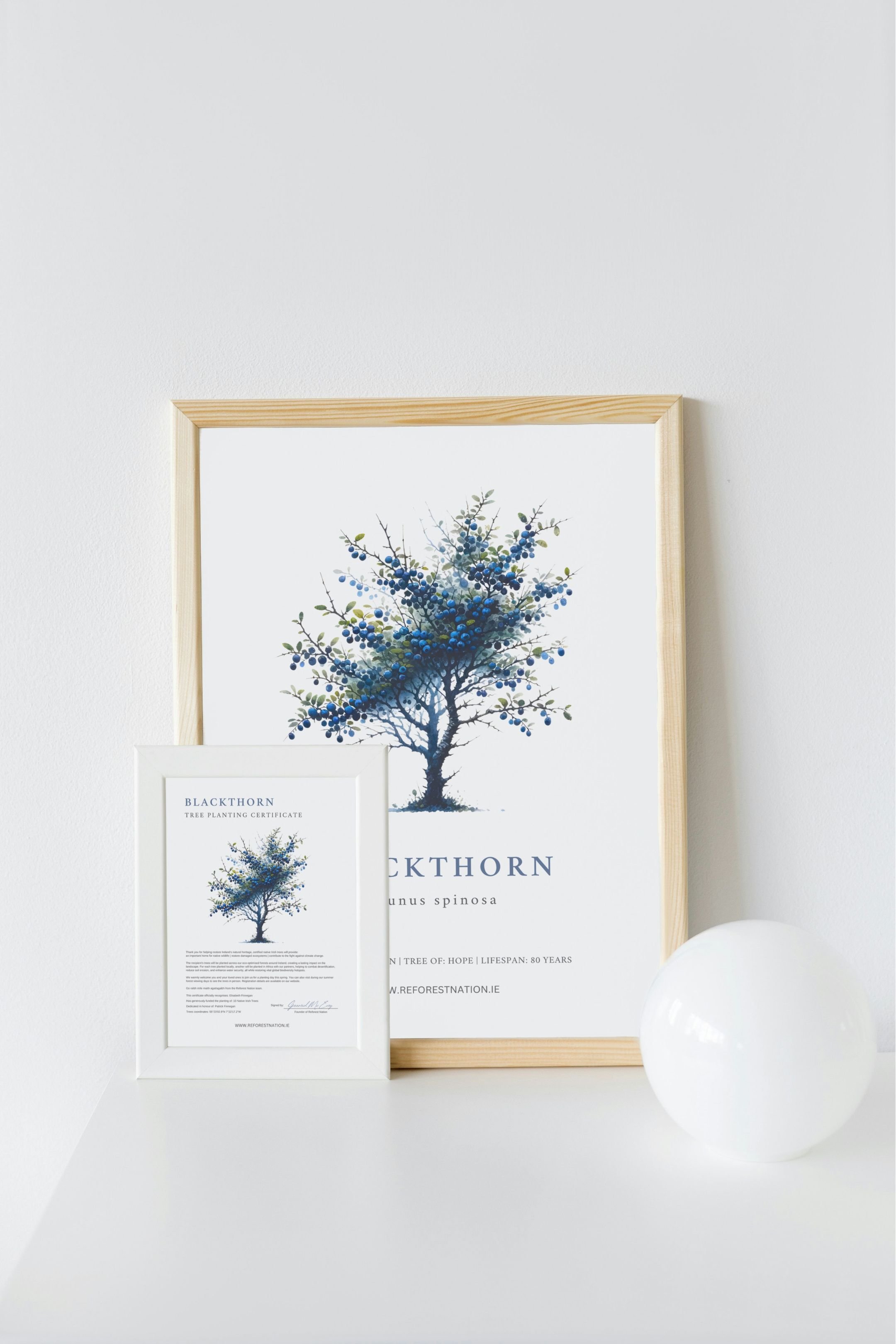 tree-planting-certificate-and-artwork.jpg