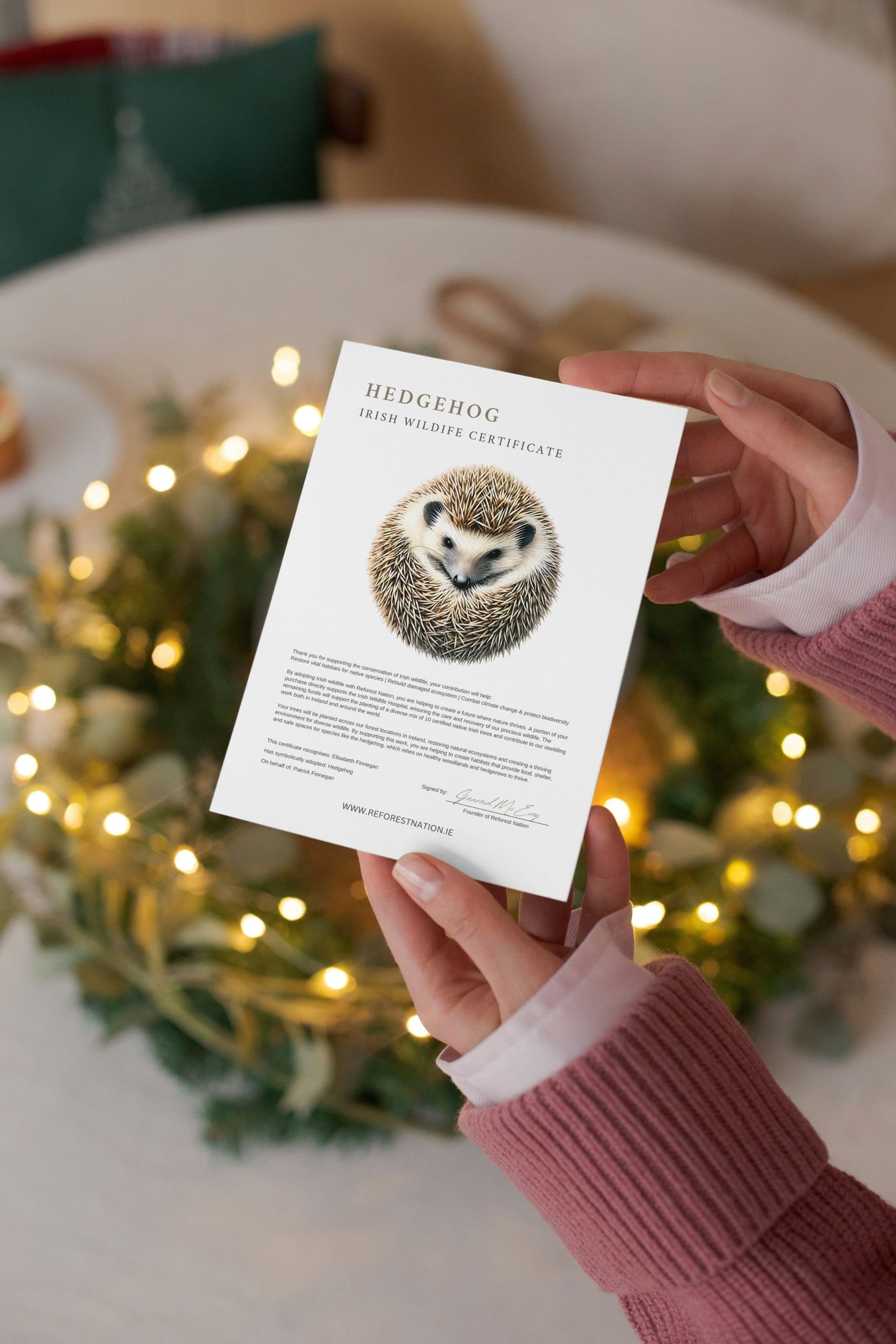 hedgehog-certificate-2.jpg