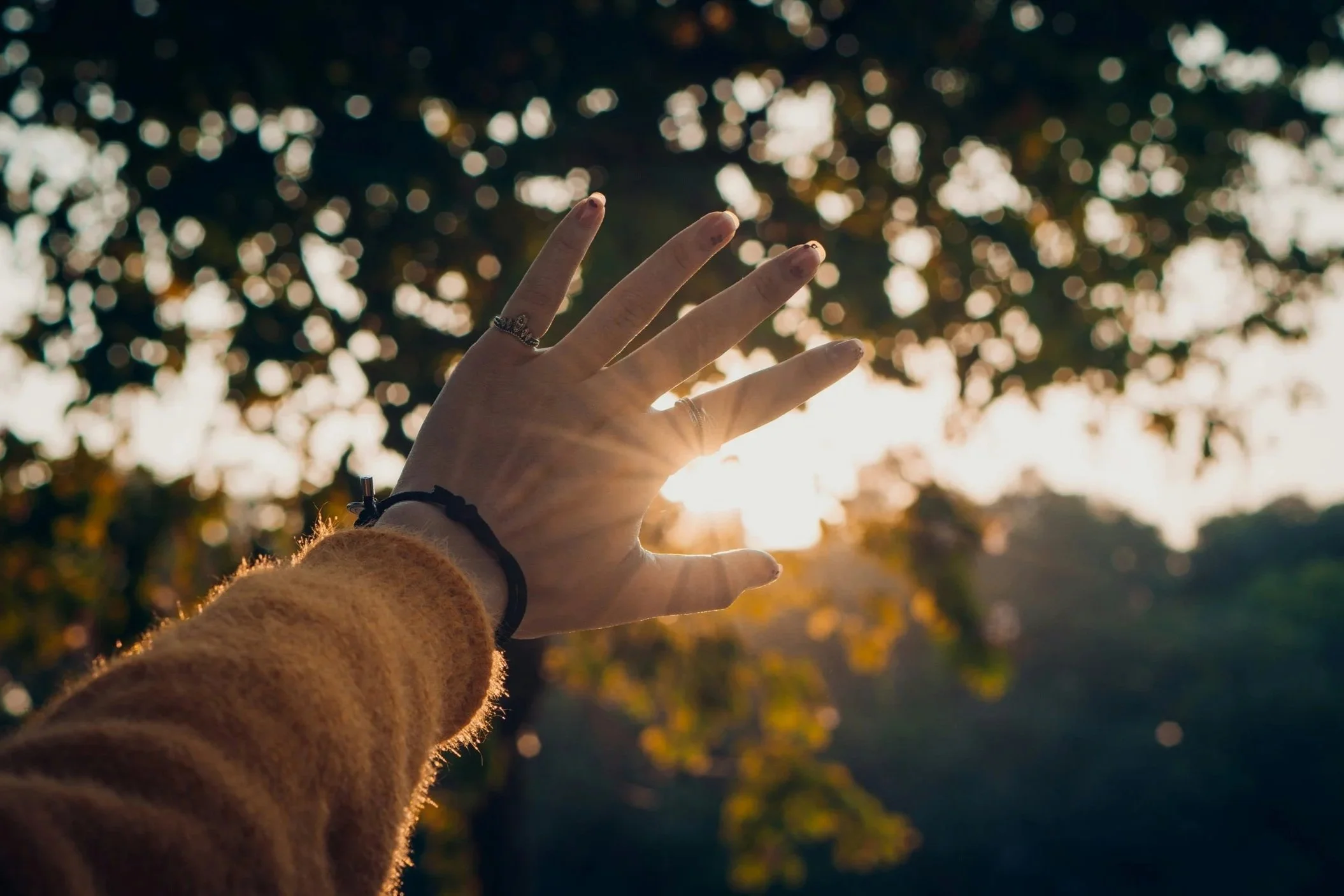 Hand reaching toward sunlight through tree branches outdoors.