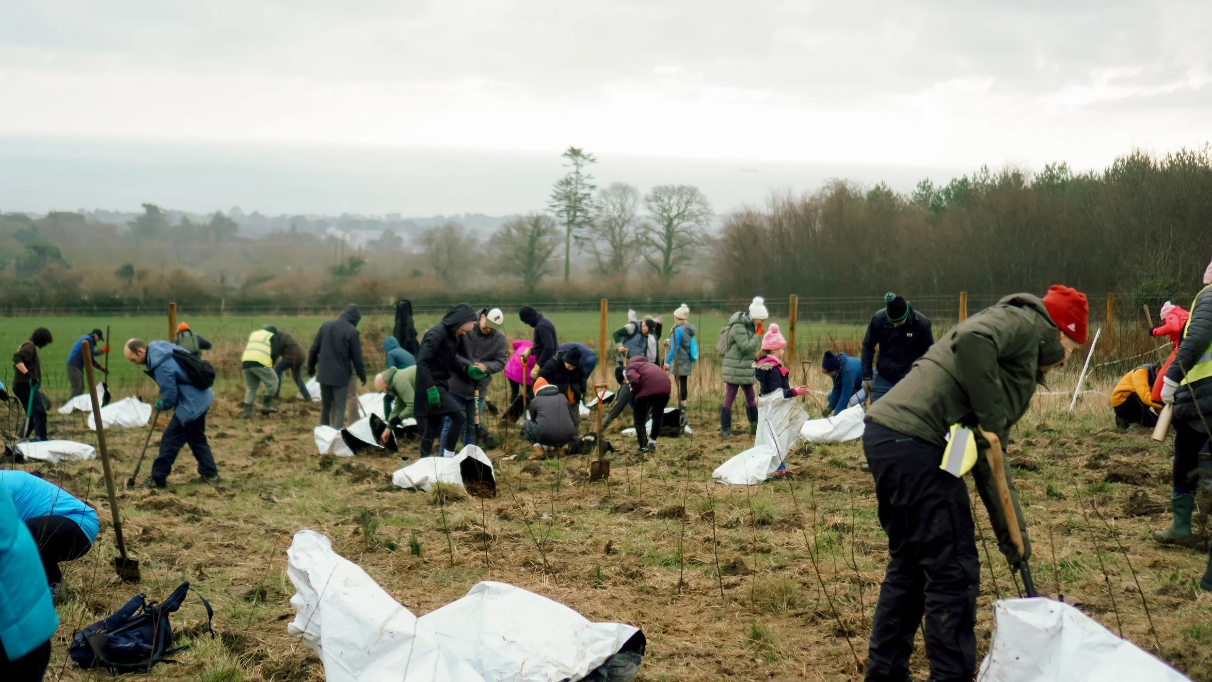 Midlands Tree Planting Day