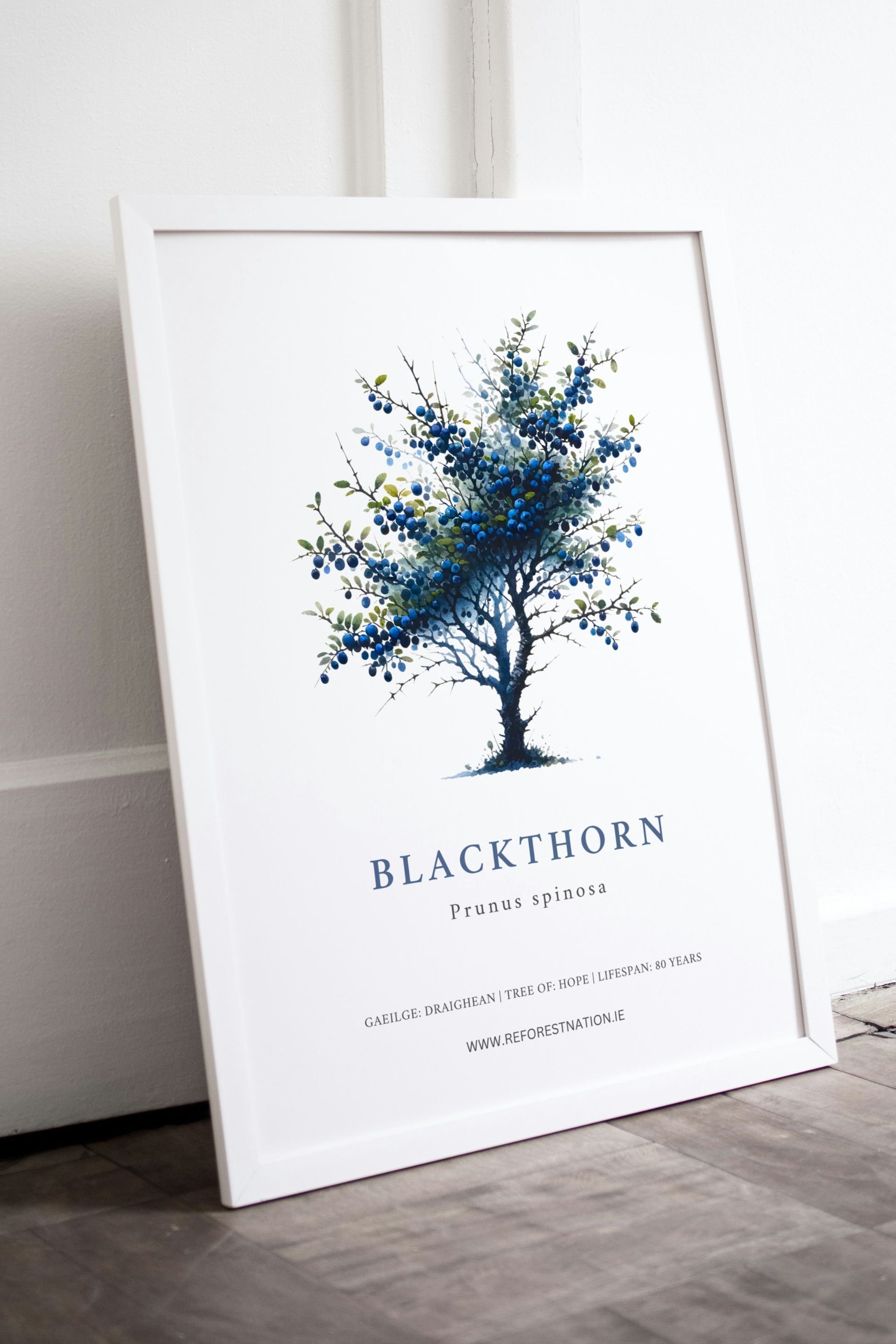 Blackthorn Artwork.jpg