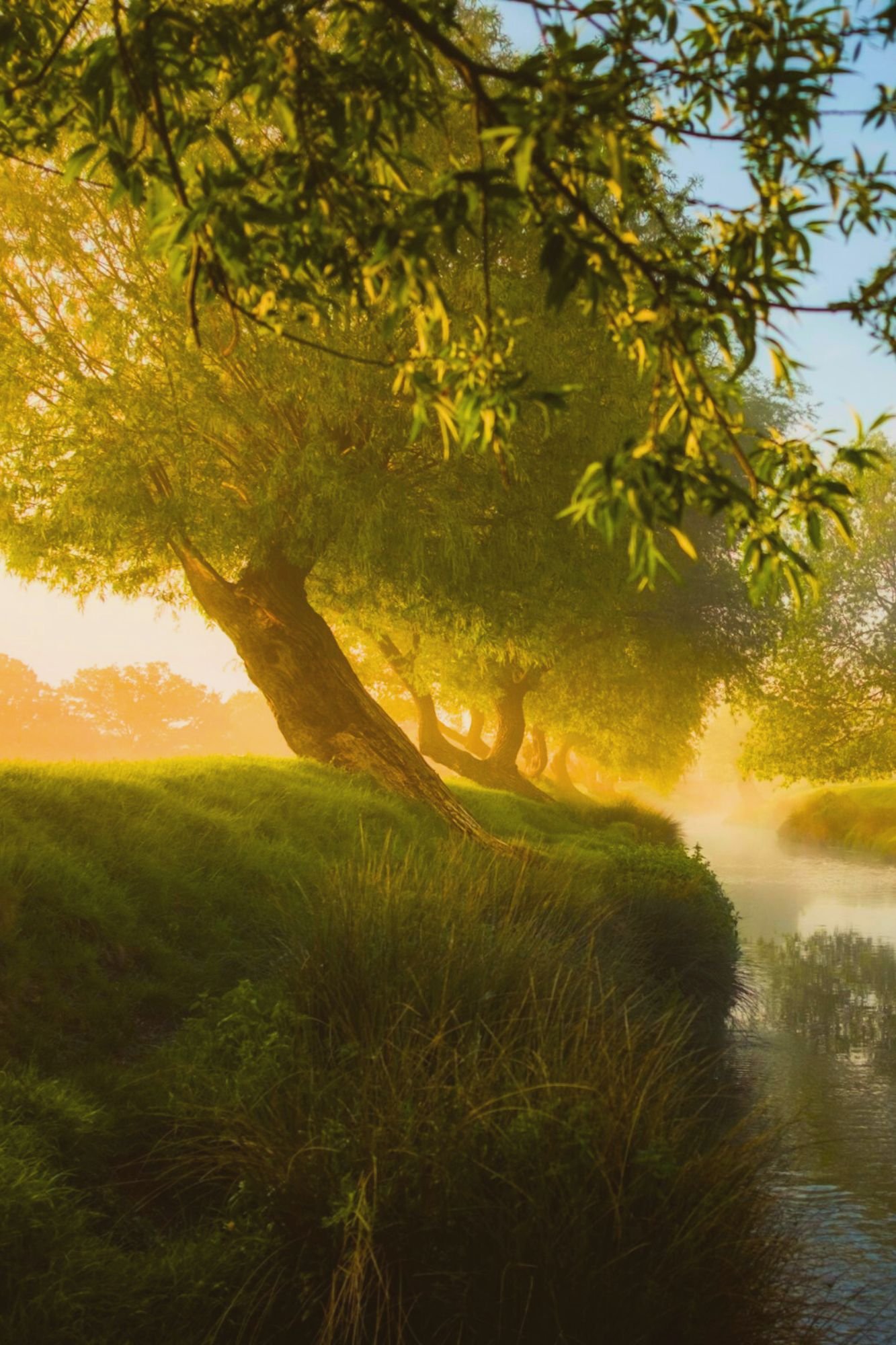 willow-by-water.jpg