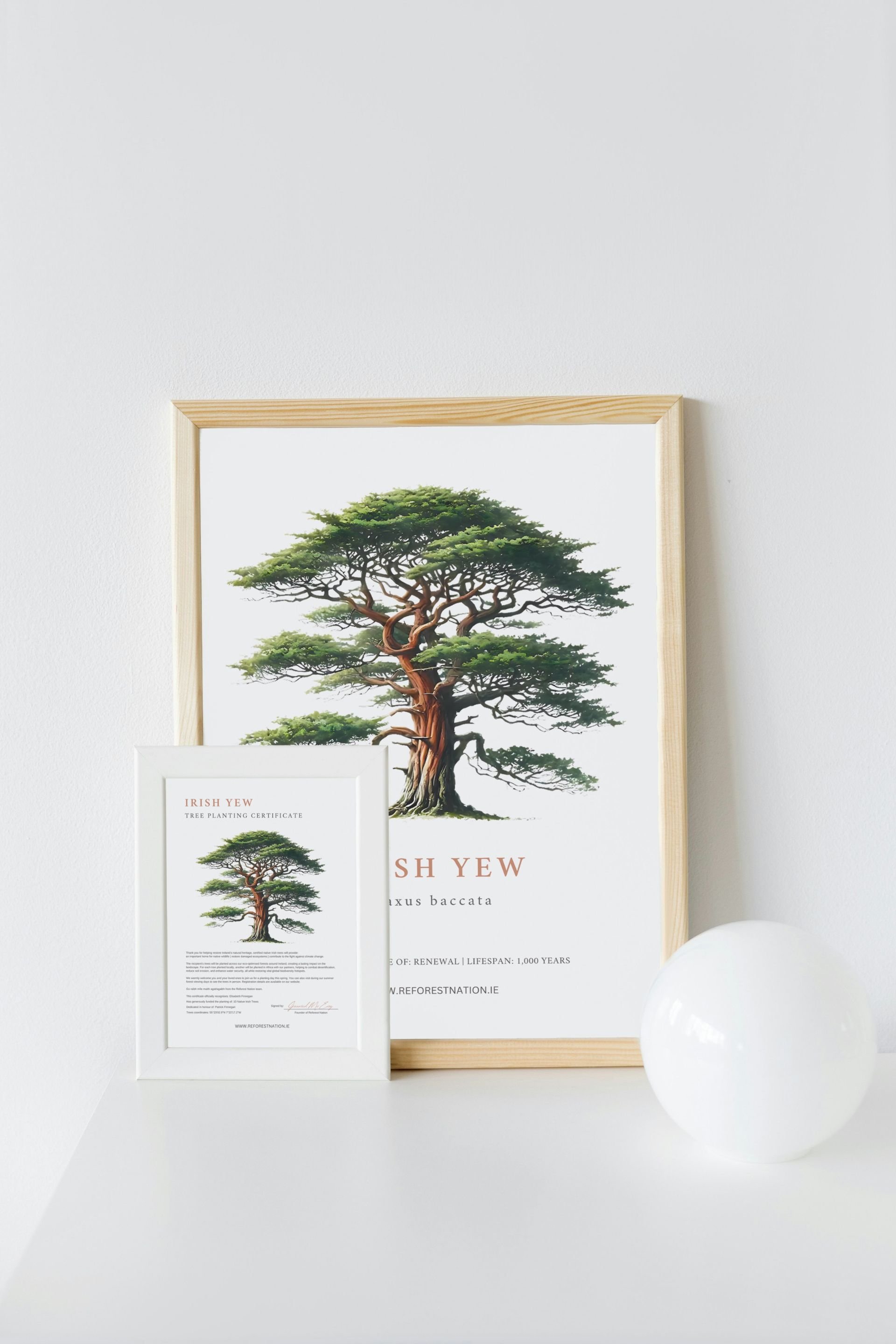 tree-planting-certificate-and-artwork-9.jpg