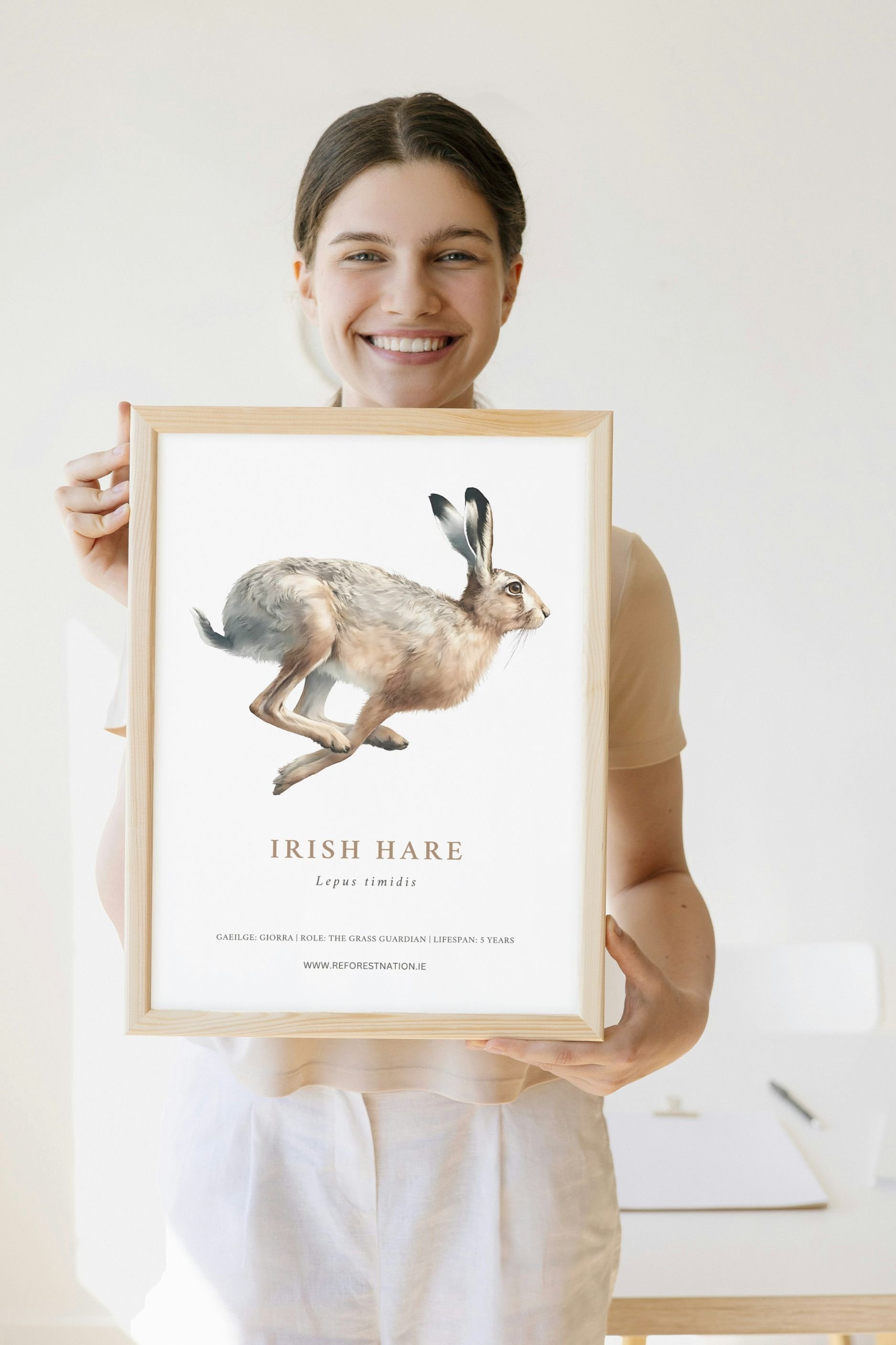 irish-hare-artwork.jpg