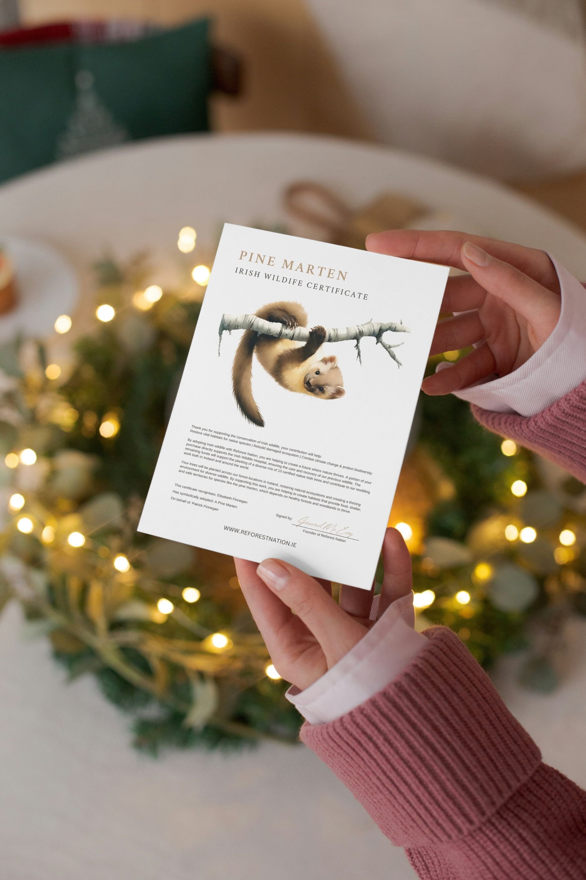 pine-marten-certificate-2.jpg