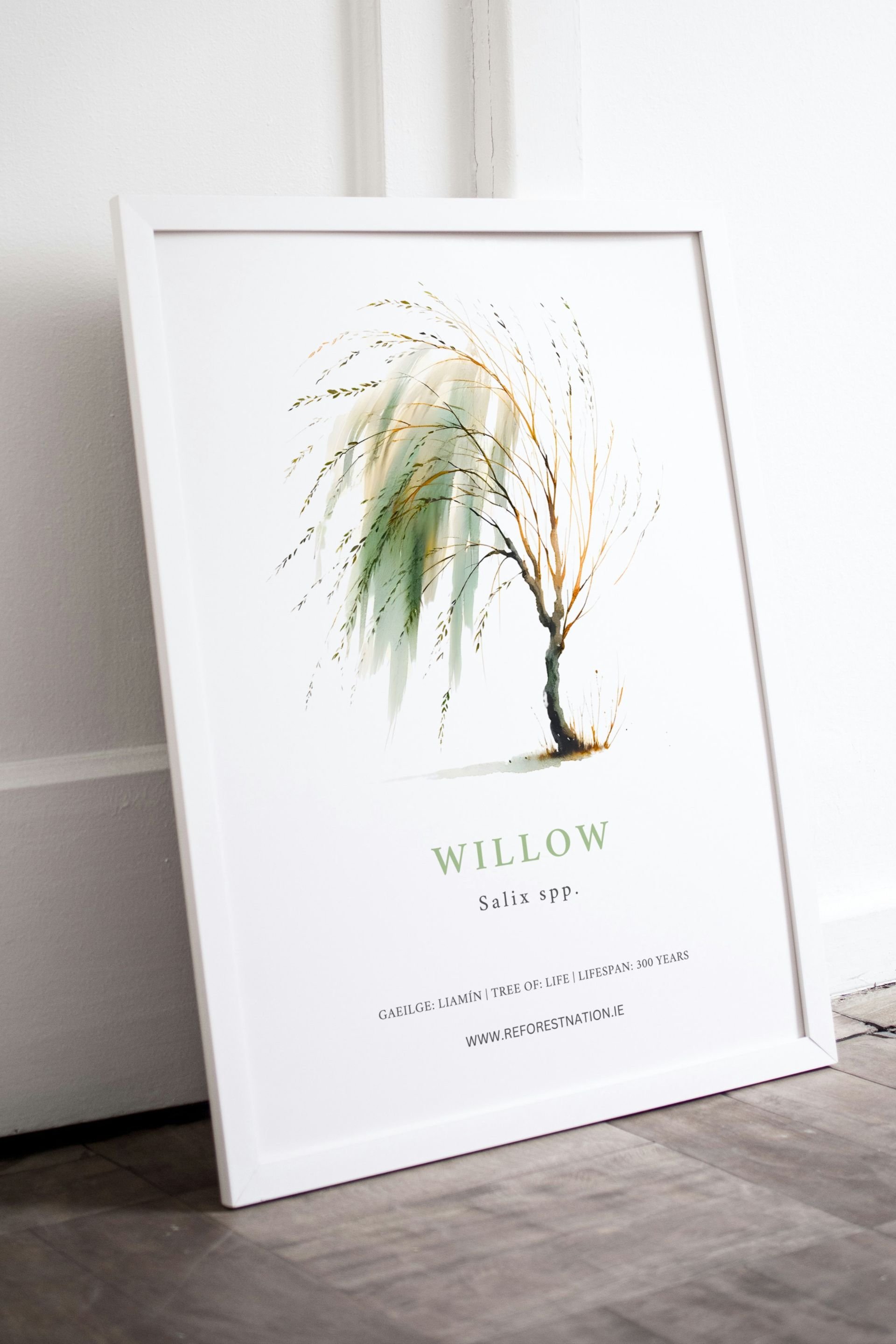 Copy of Tree Artworks-3.jpg