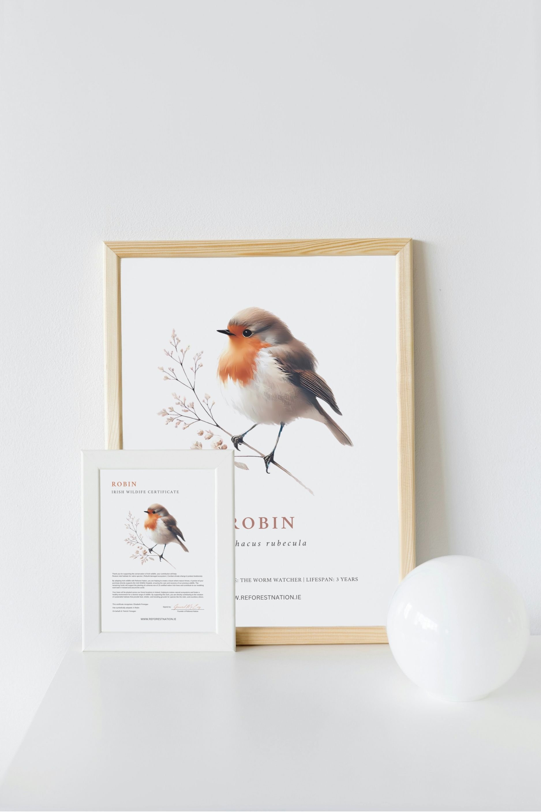 robin-artwork-and-certificate.jpg