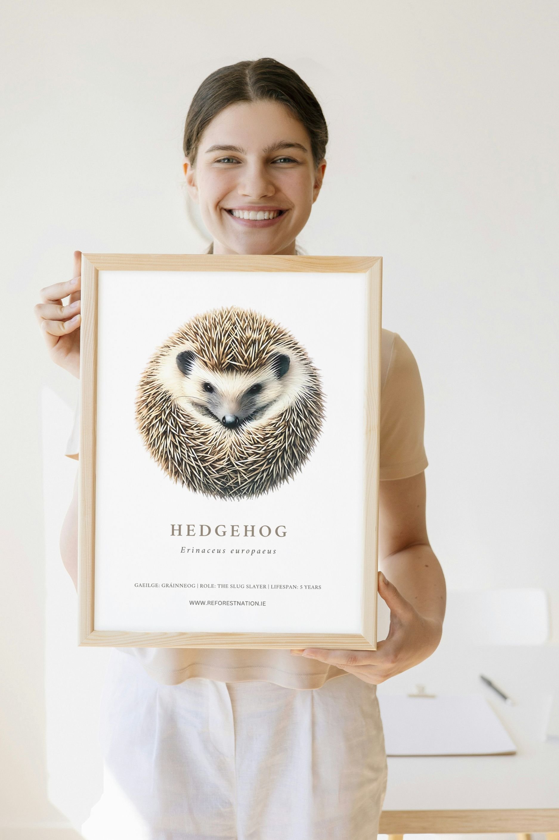 hedgehog-artwork-2.jpg