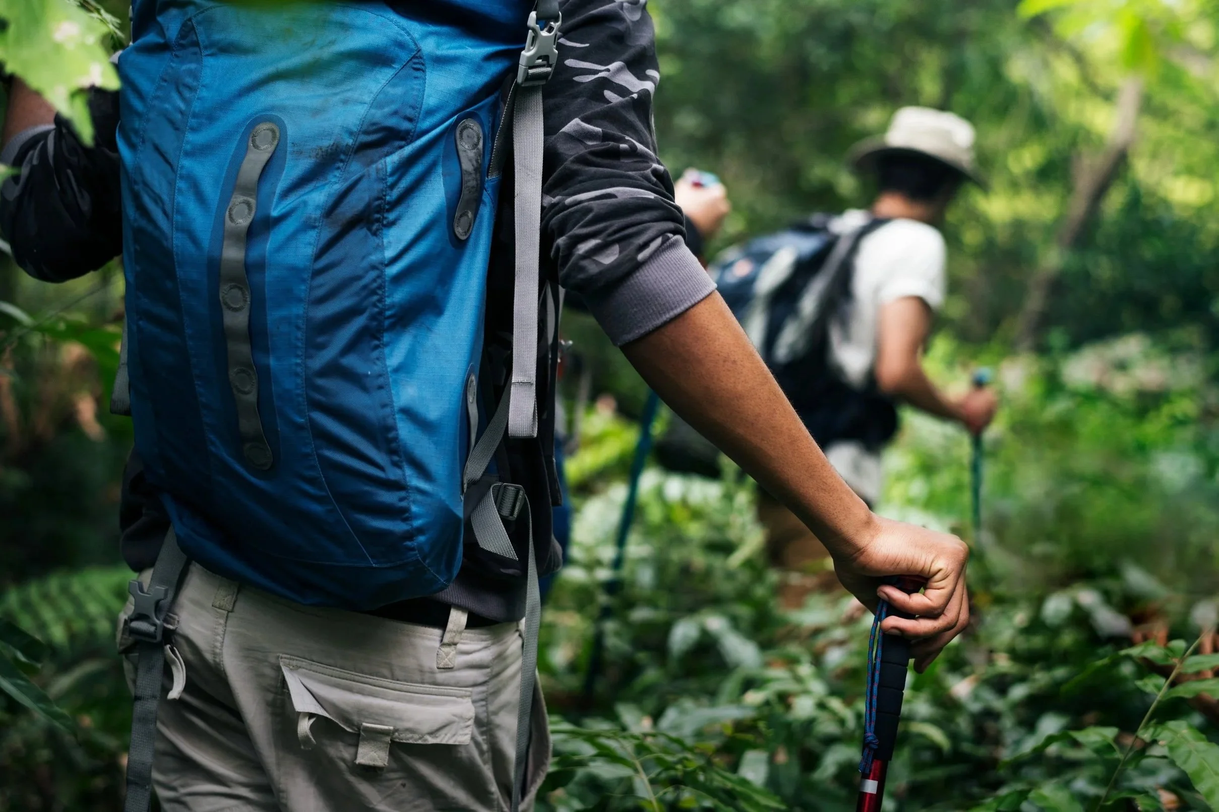 Back view of hikers with backpacks moving deeper into dense forest, illustrating forward-driven exploration behavior linked to repeated disappearance patterns.