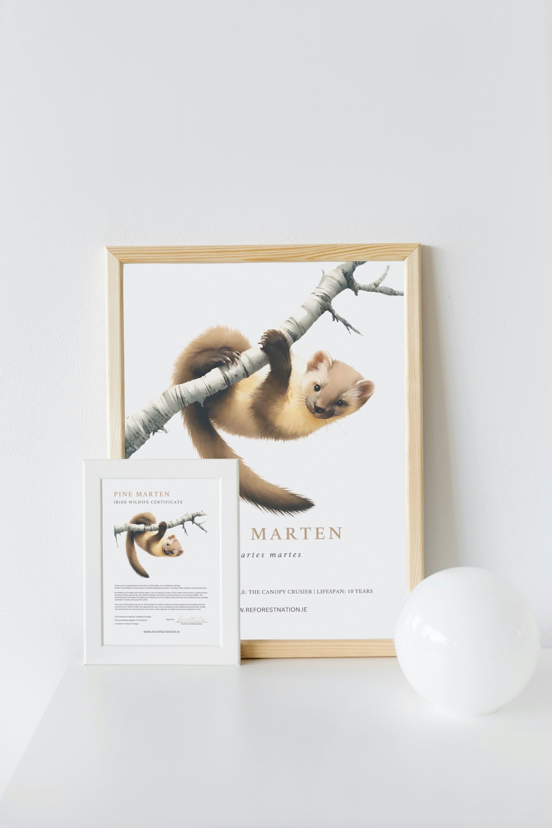 pine-marten-artwork-and-certificate.jpg