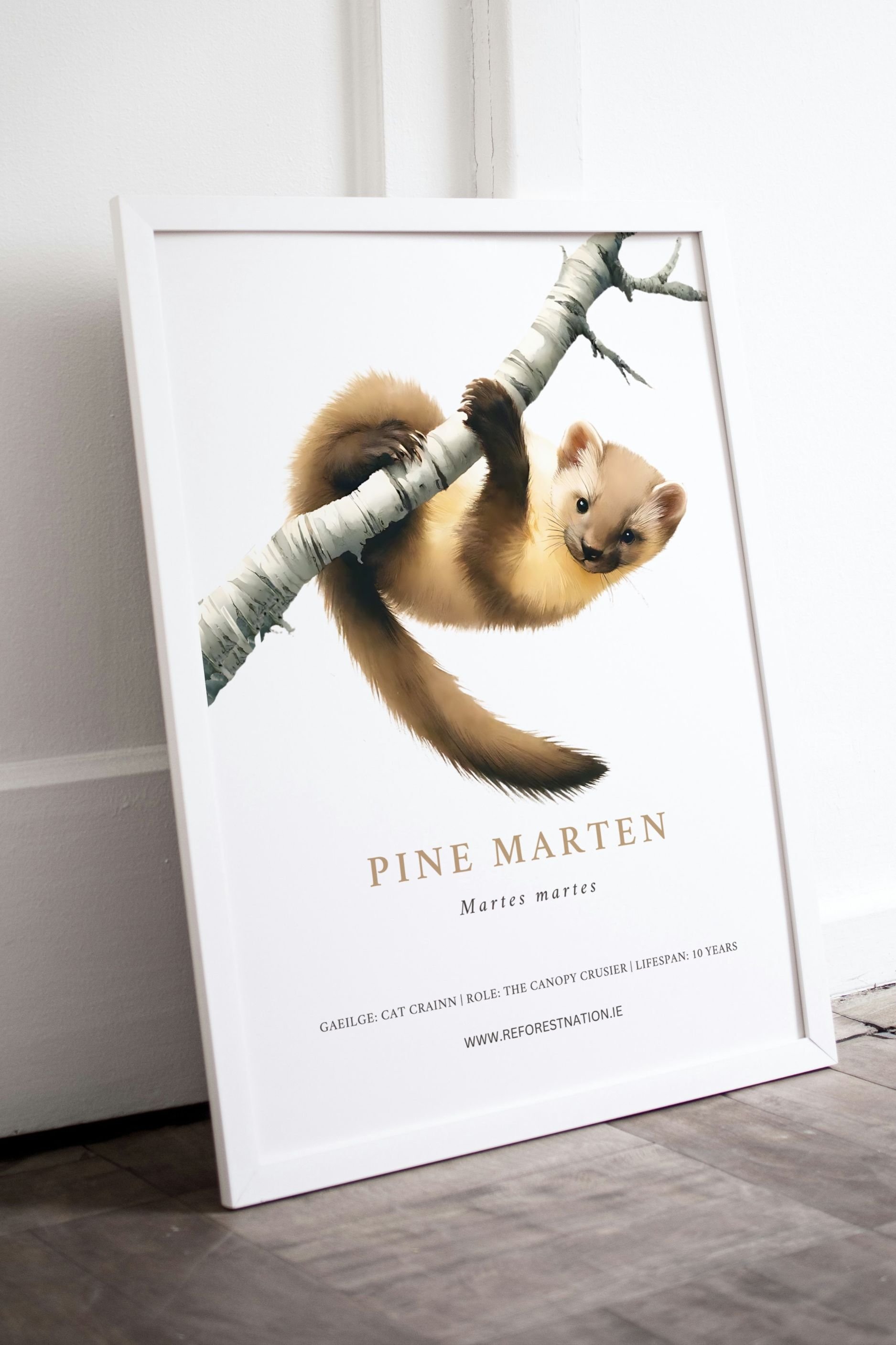 pine-marten-artwork-2.jpg