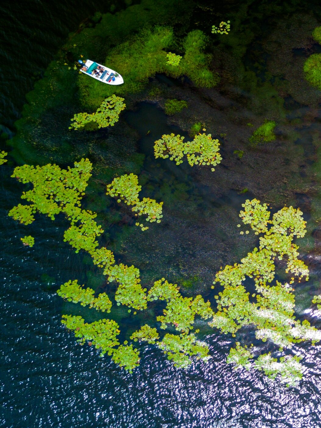 Boat+top+down+lagoon.jpg