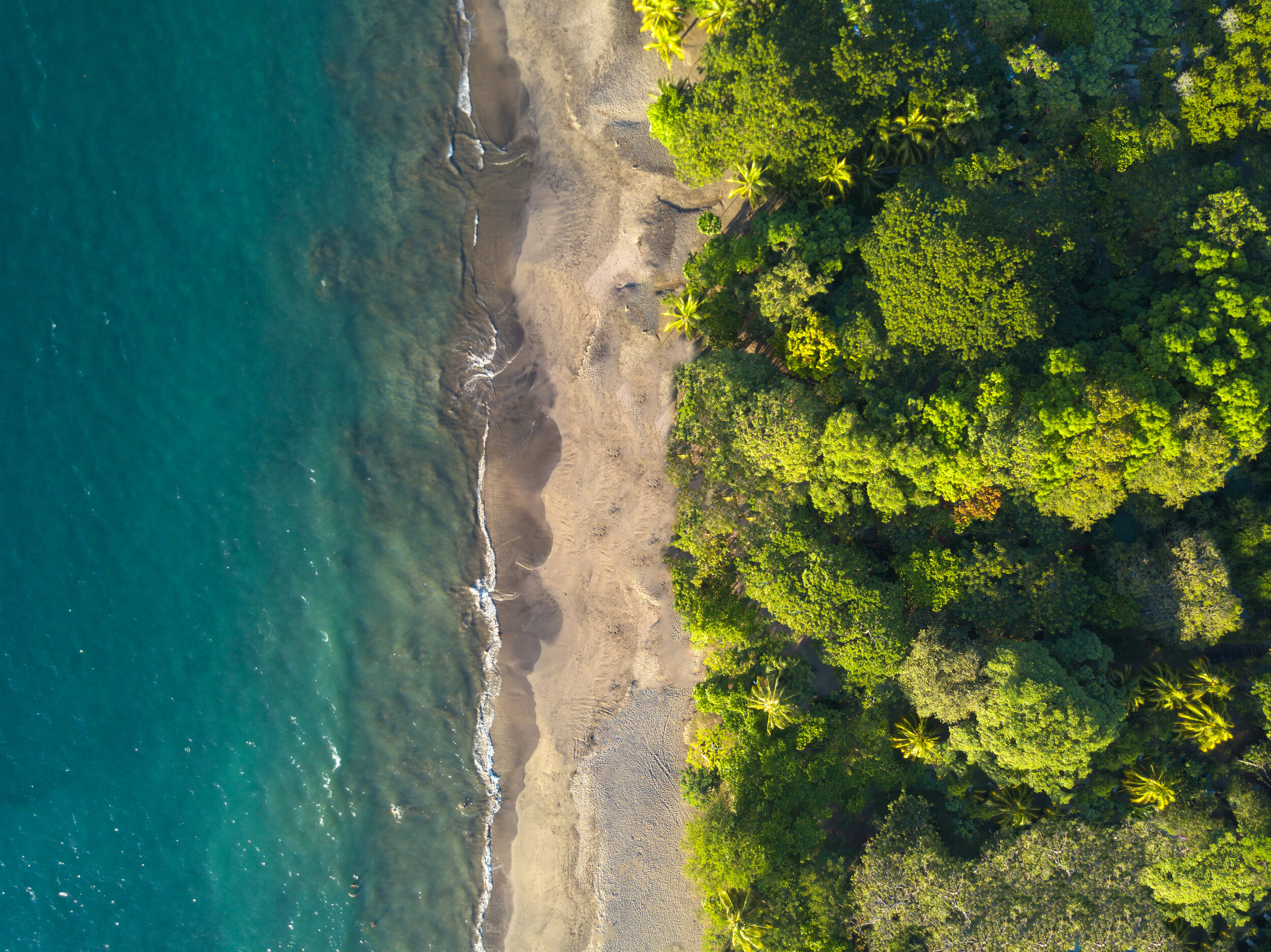 birds eye down 2.jpg