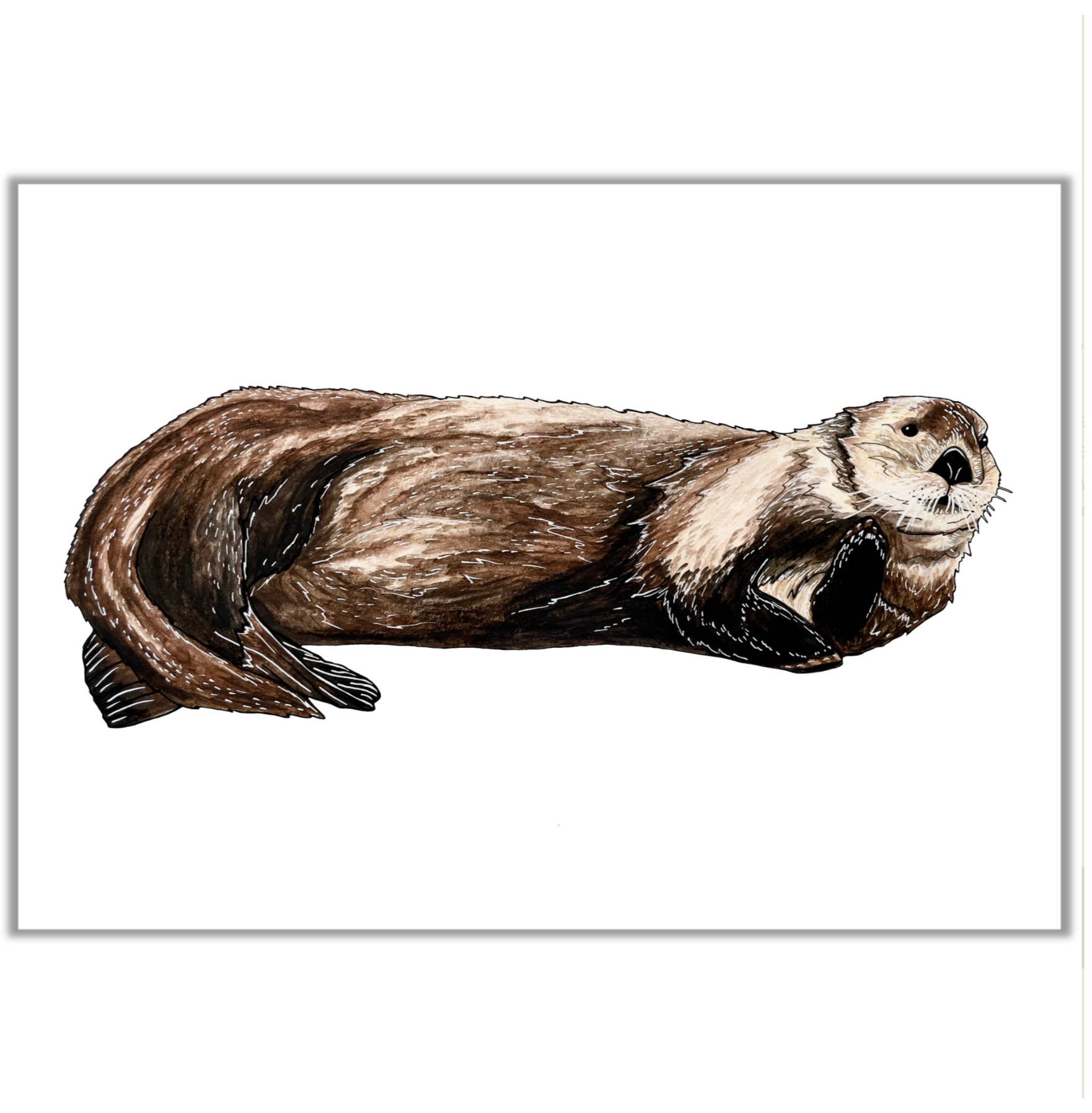Sea Otter-Limited Print