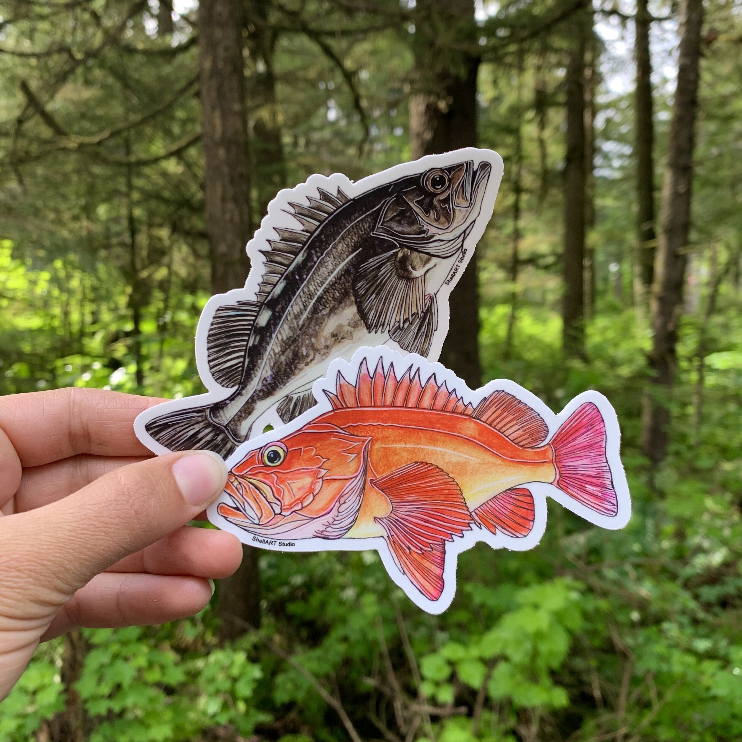 ShellART Stickers 2 Pack