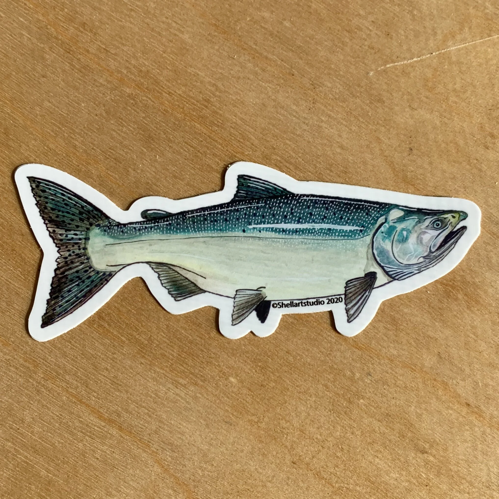 King Salmon Sticker