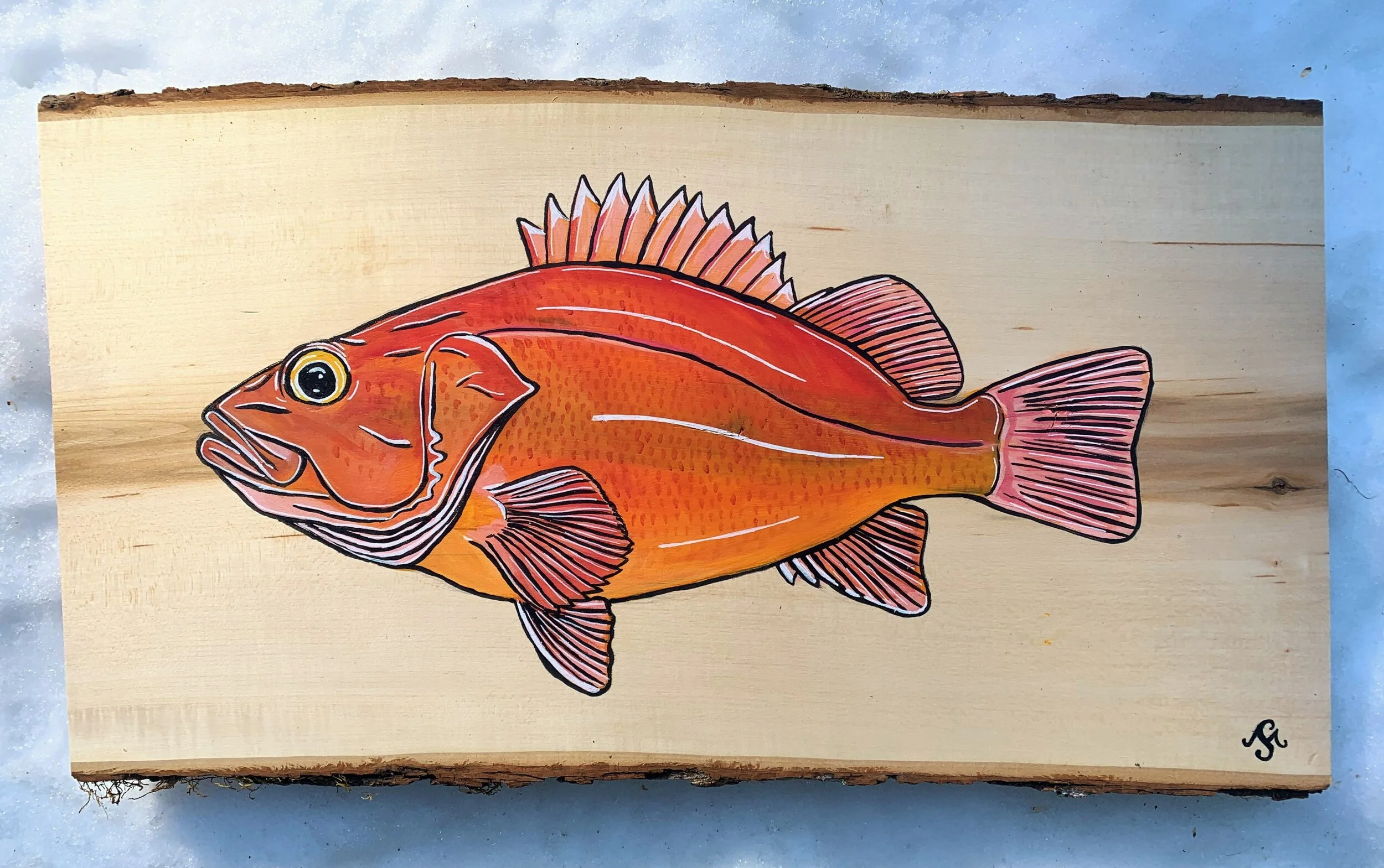 Yelloweye Rockfish on Live-Edge