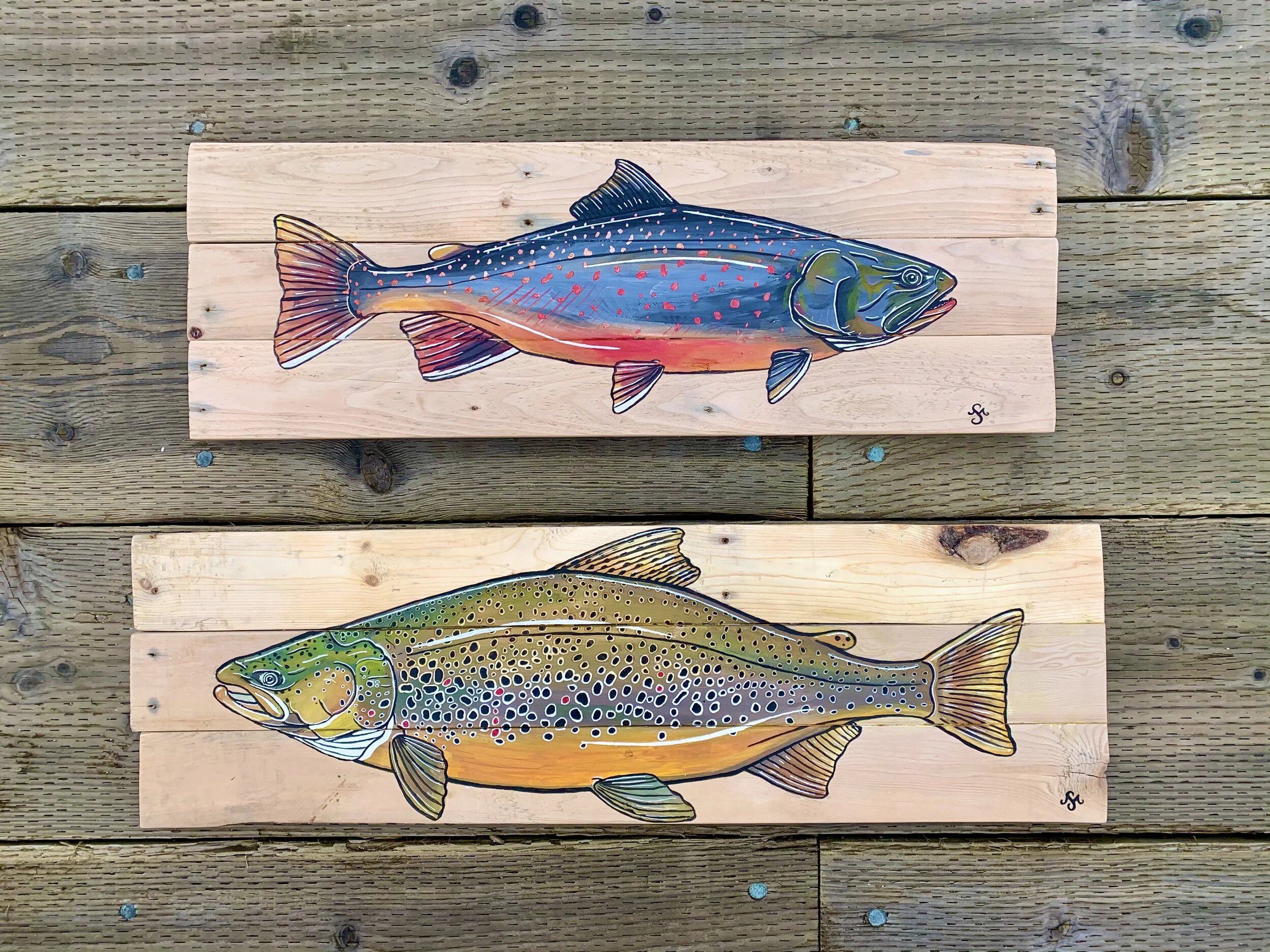 Dolly Varden &amp; Brown Trout