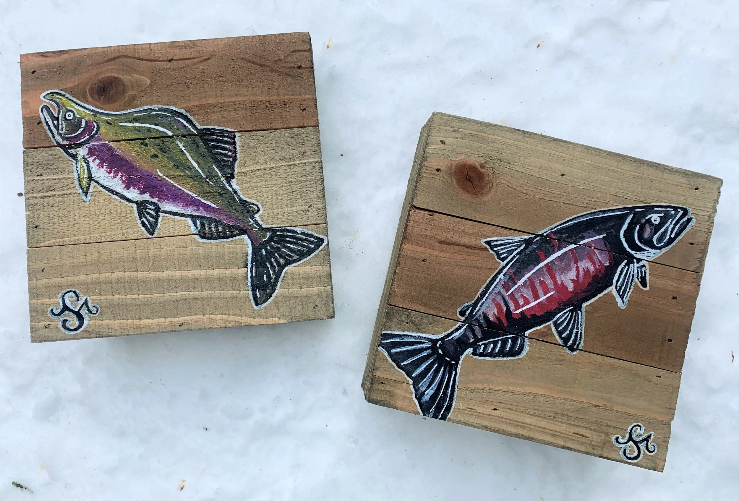 Pink &amp; Chum Salmon