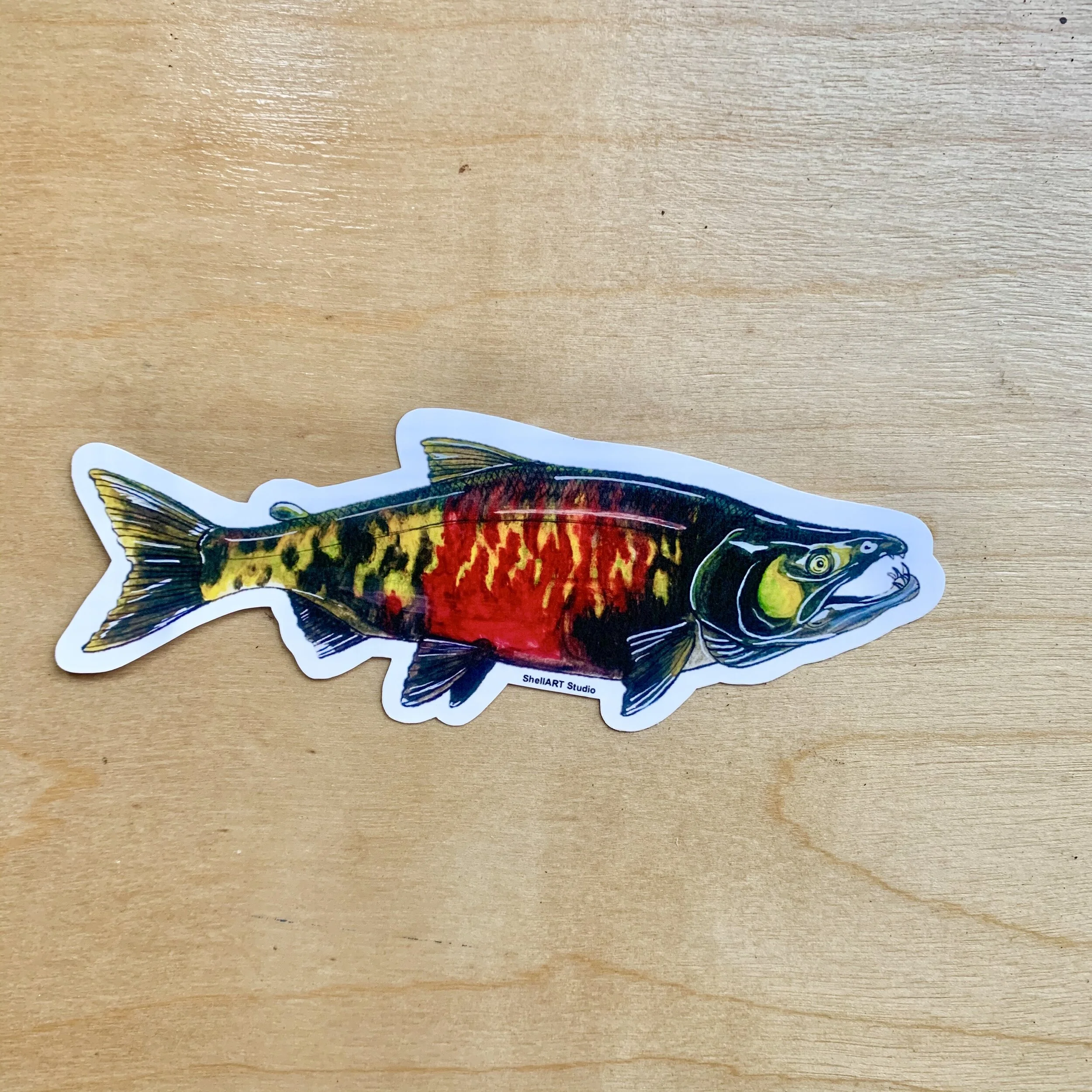 Chum Salmon Sticker