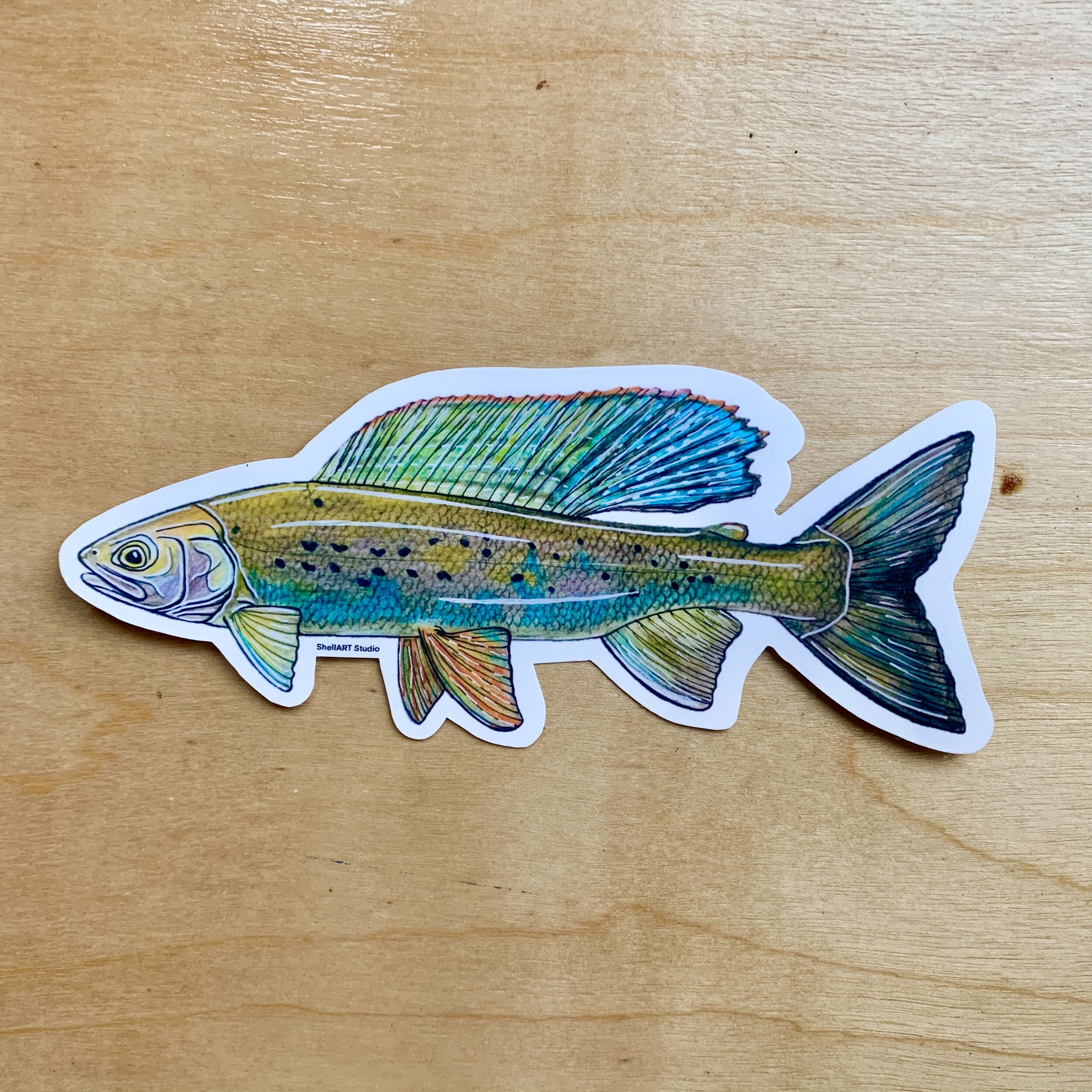 Arctic Grayling Sticker