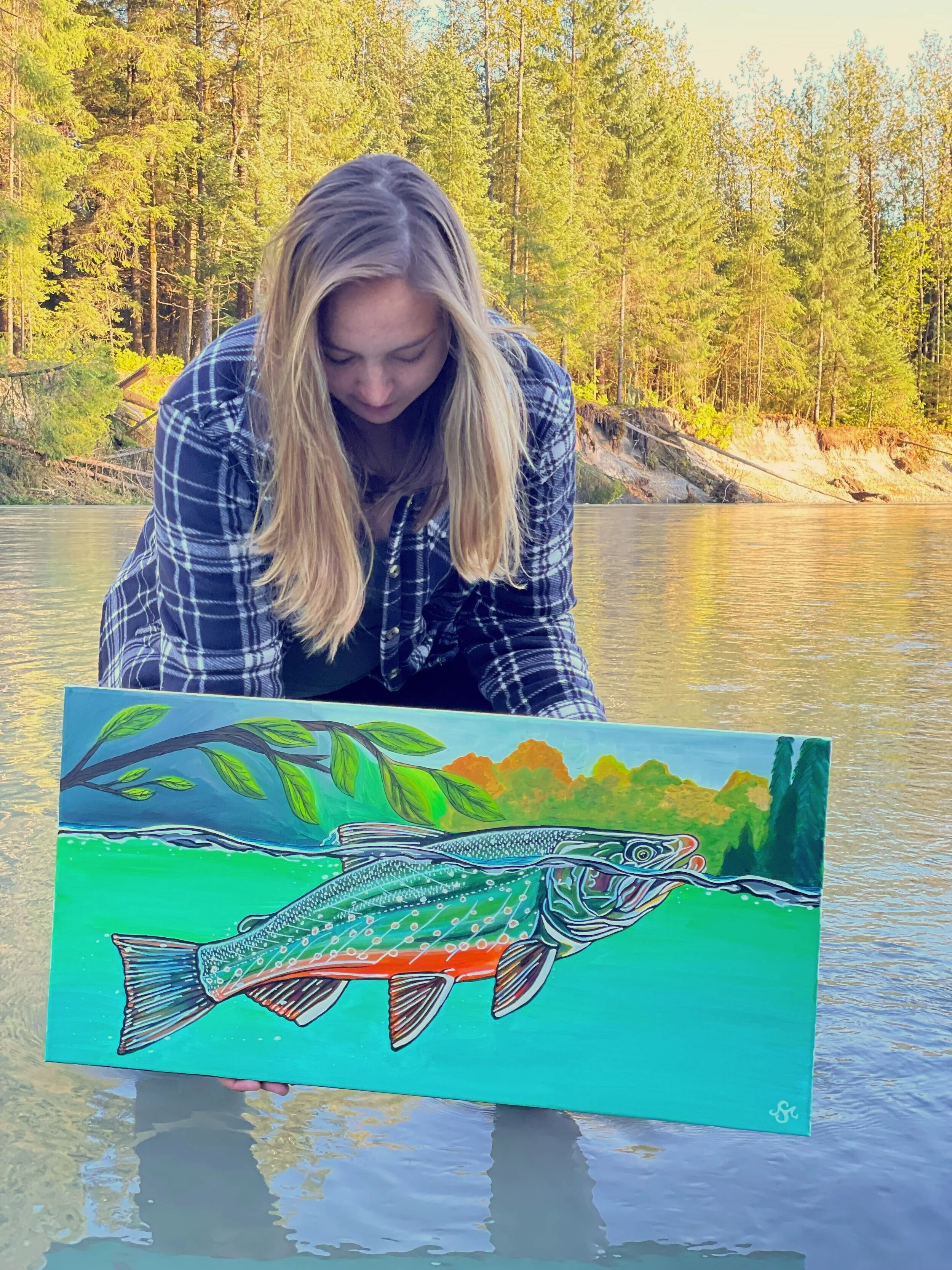 Fall Spawning Dolly Varden