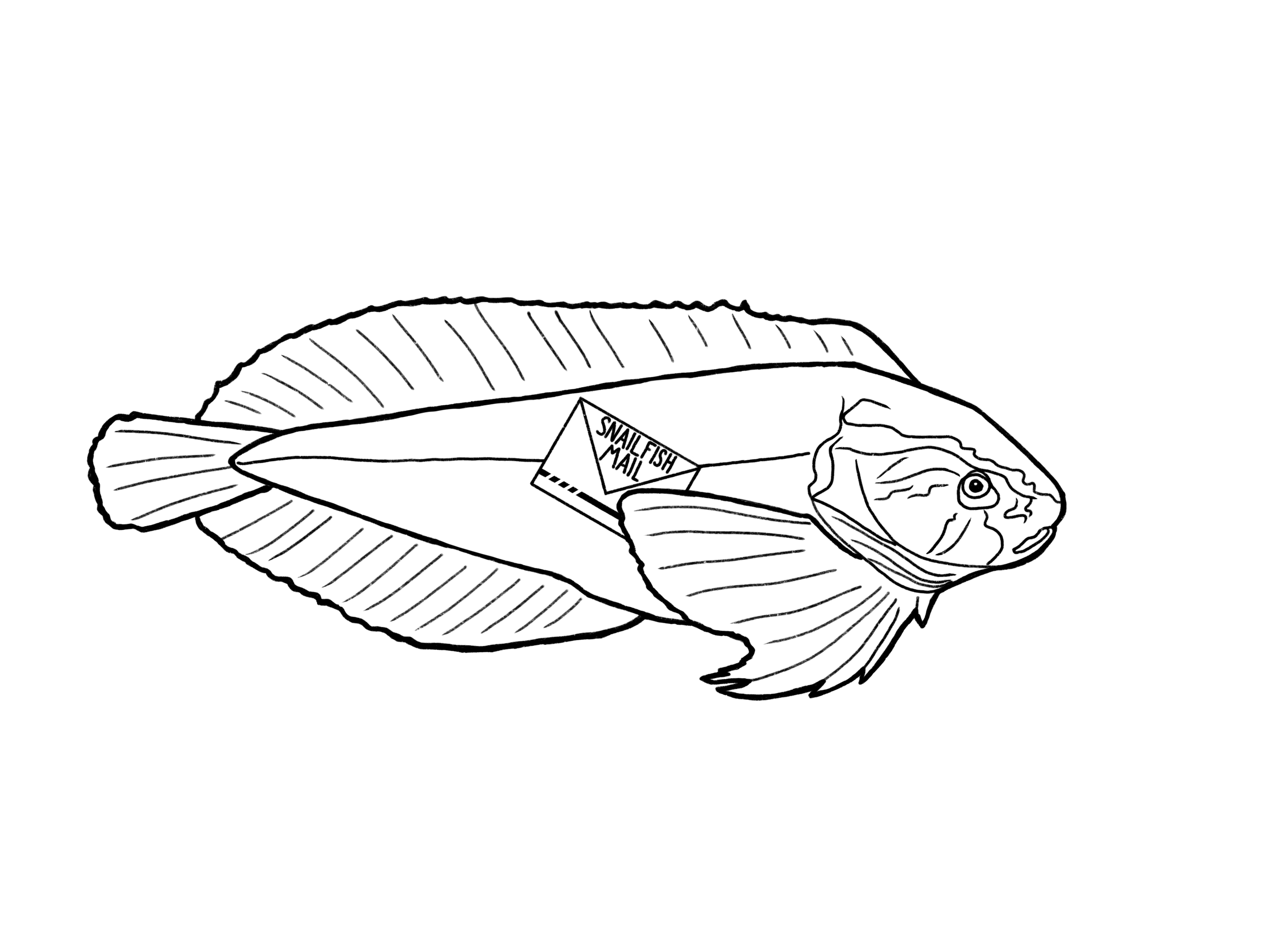 IMG_3466.png