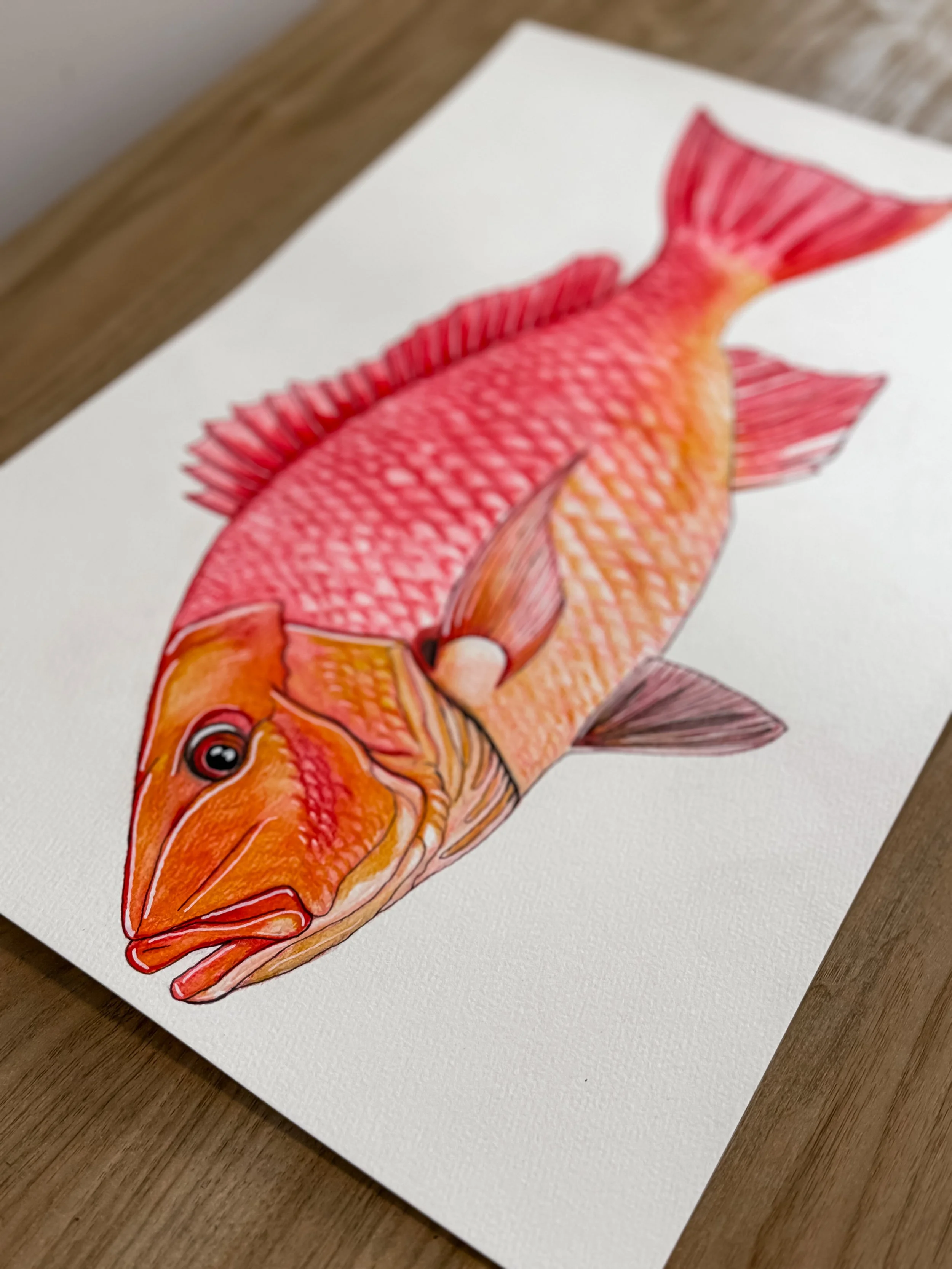 Red Snapper Original 2.JPG