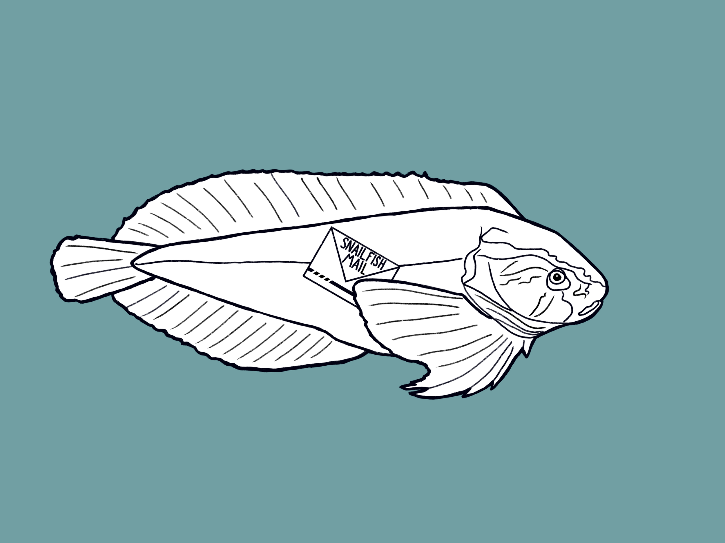 IMG_3504.png