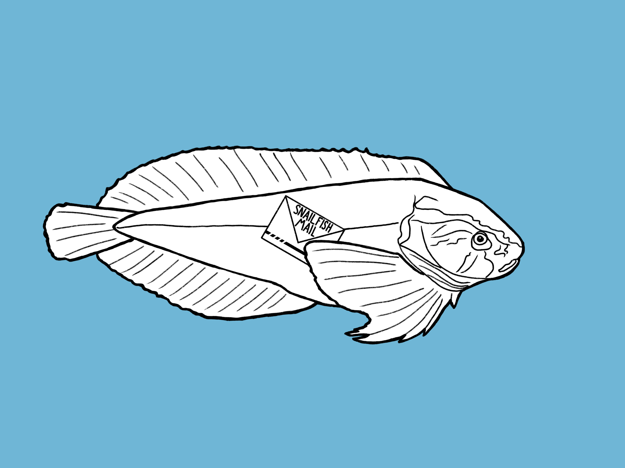 IMG_3505.png